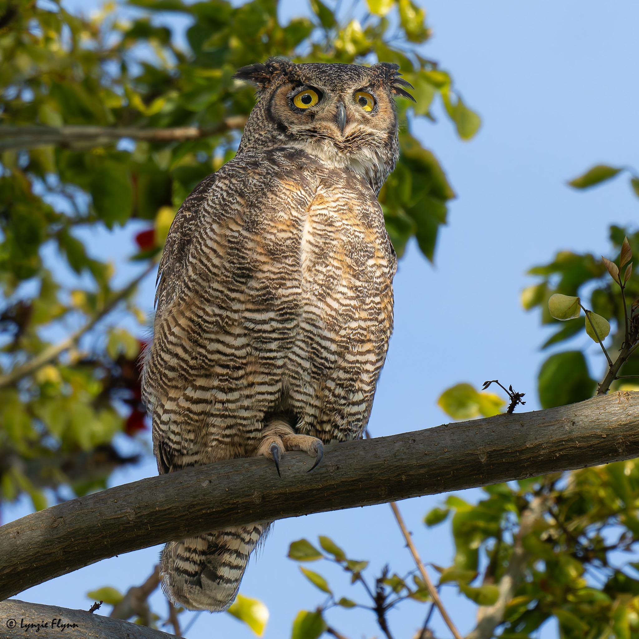 Community photo by Lynzie