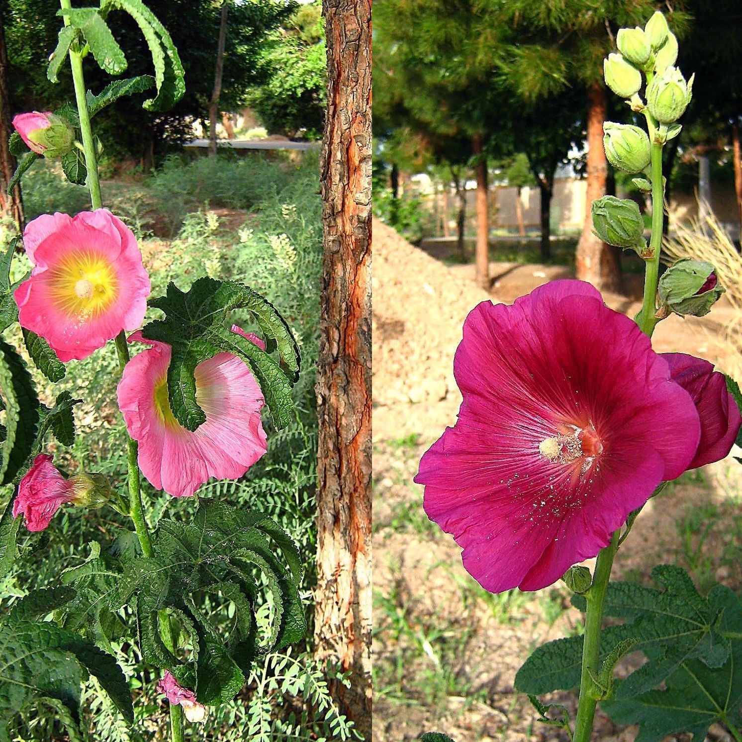 Community photo by Hassan