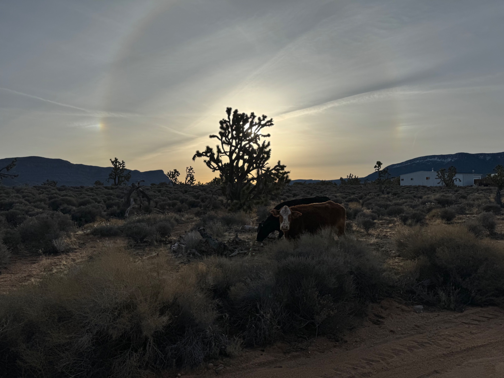 Community photo by Reyna
