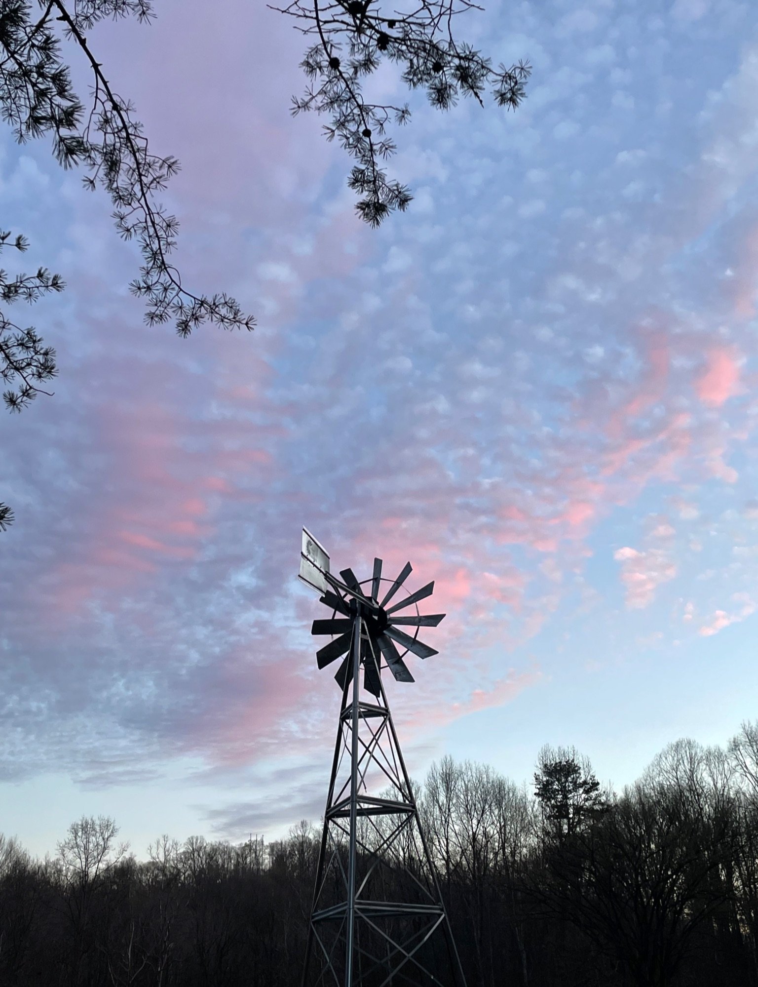 Community photo by Lisa Dunlap | Dunbar, WV, USA