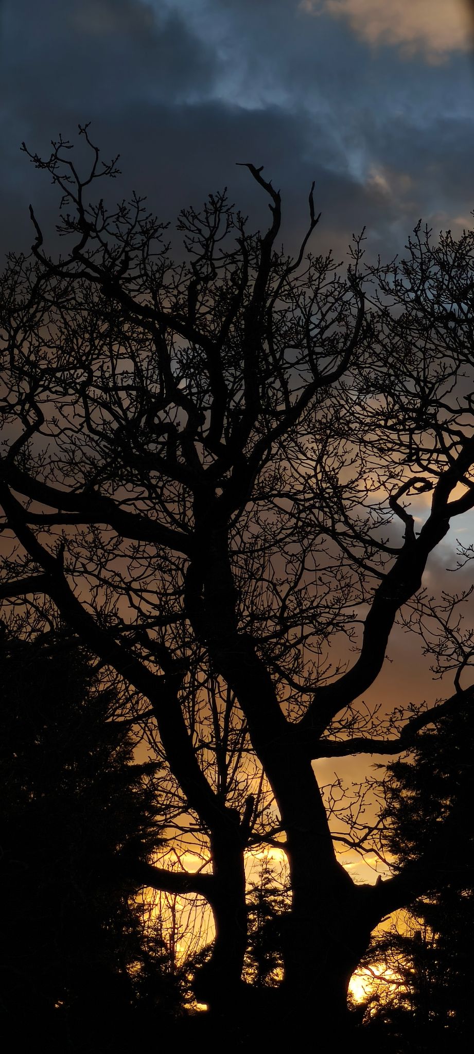 Community photo by marie