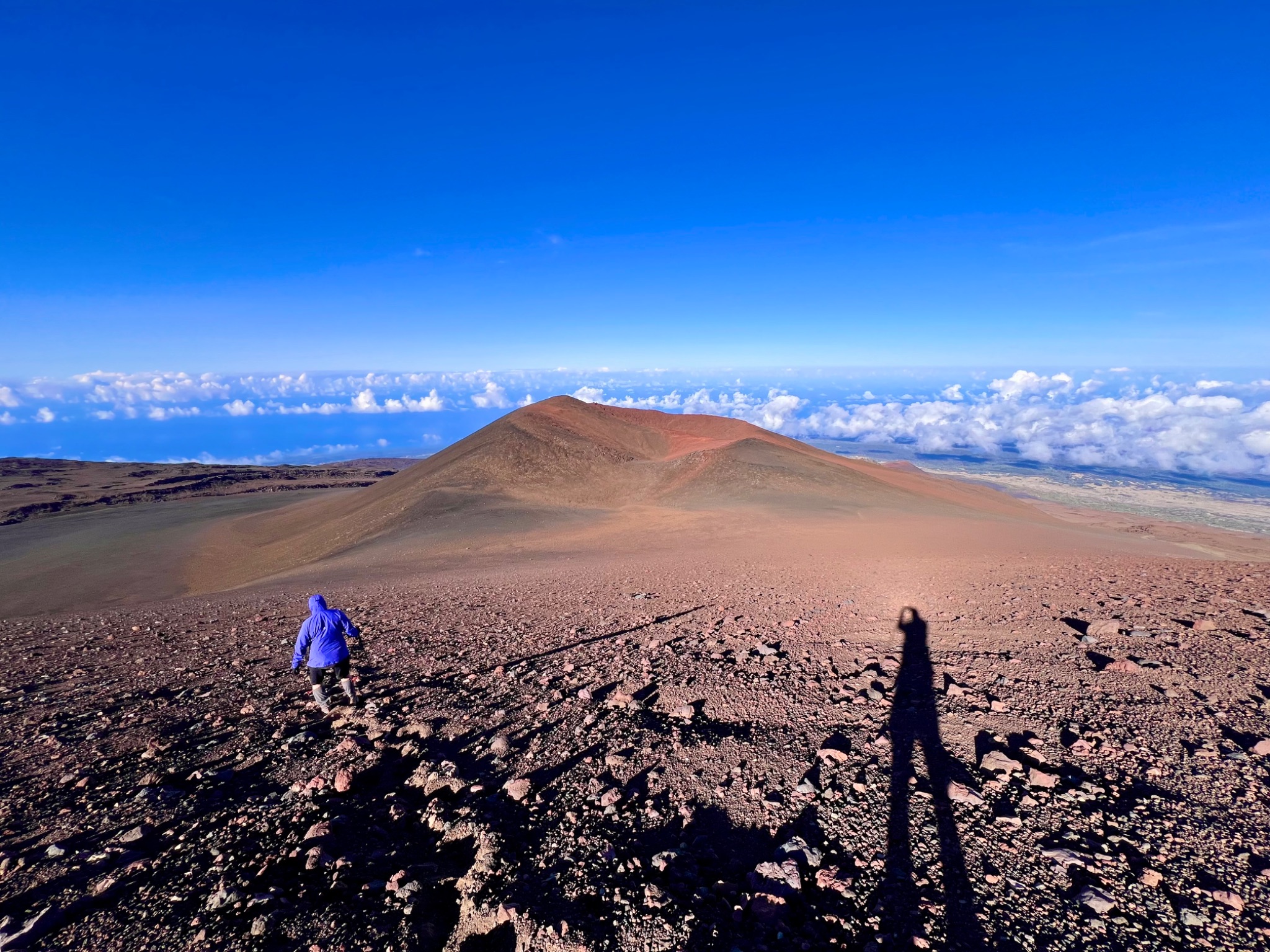 Community photo by Paul C. Peh | Honoka'a, Hawaii, USA