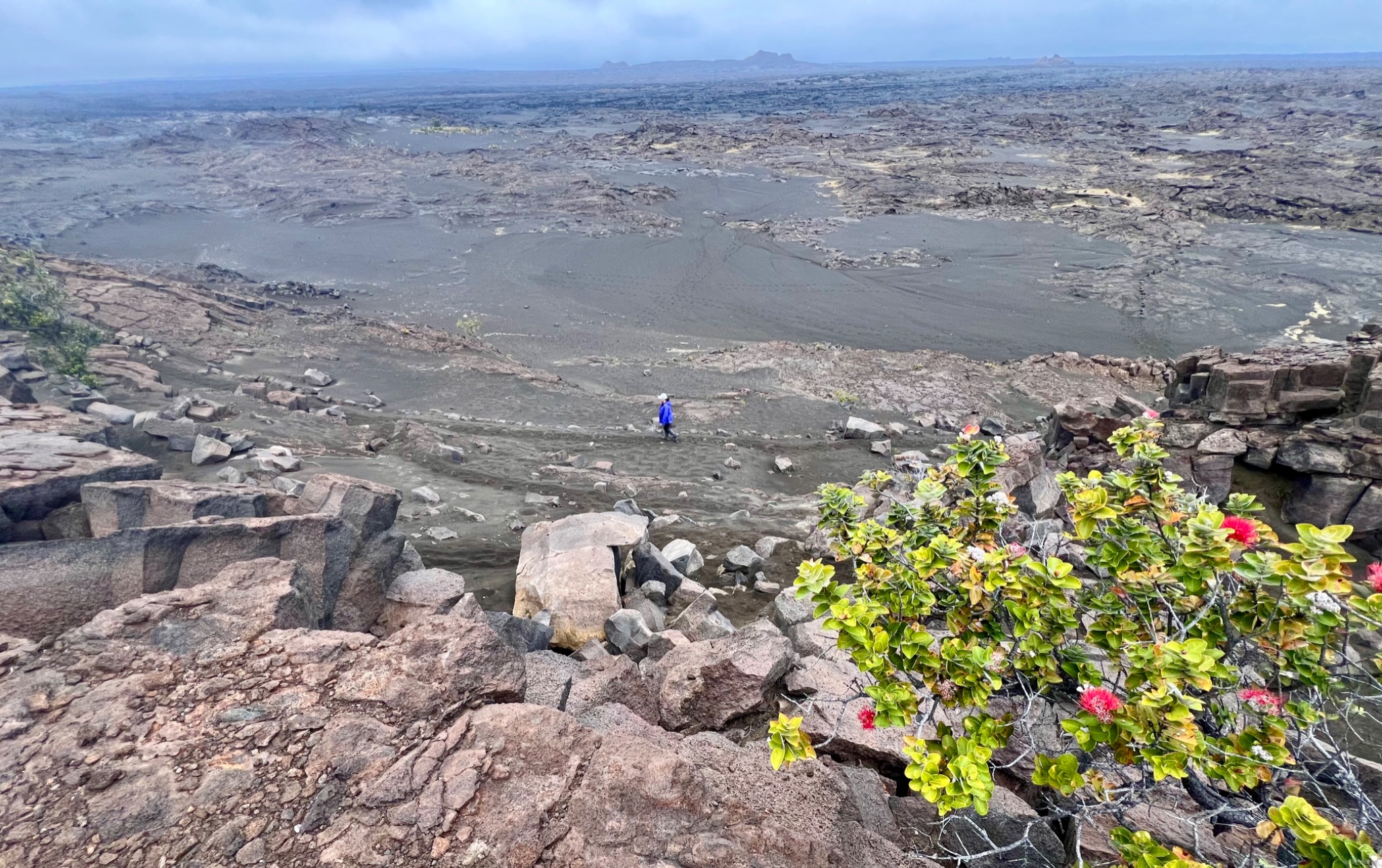 Community photo by Paul C. Peh | Volcano, Hi, USA