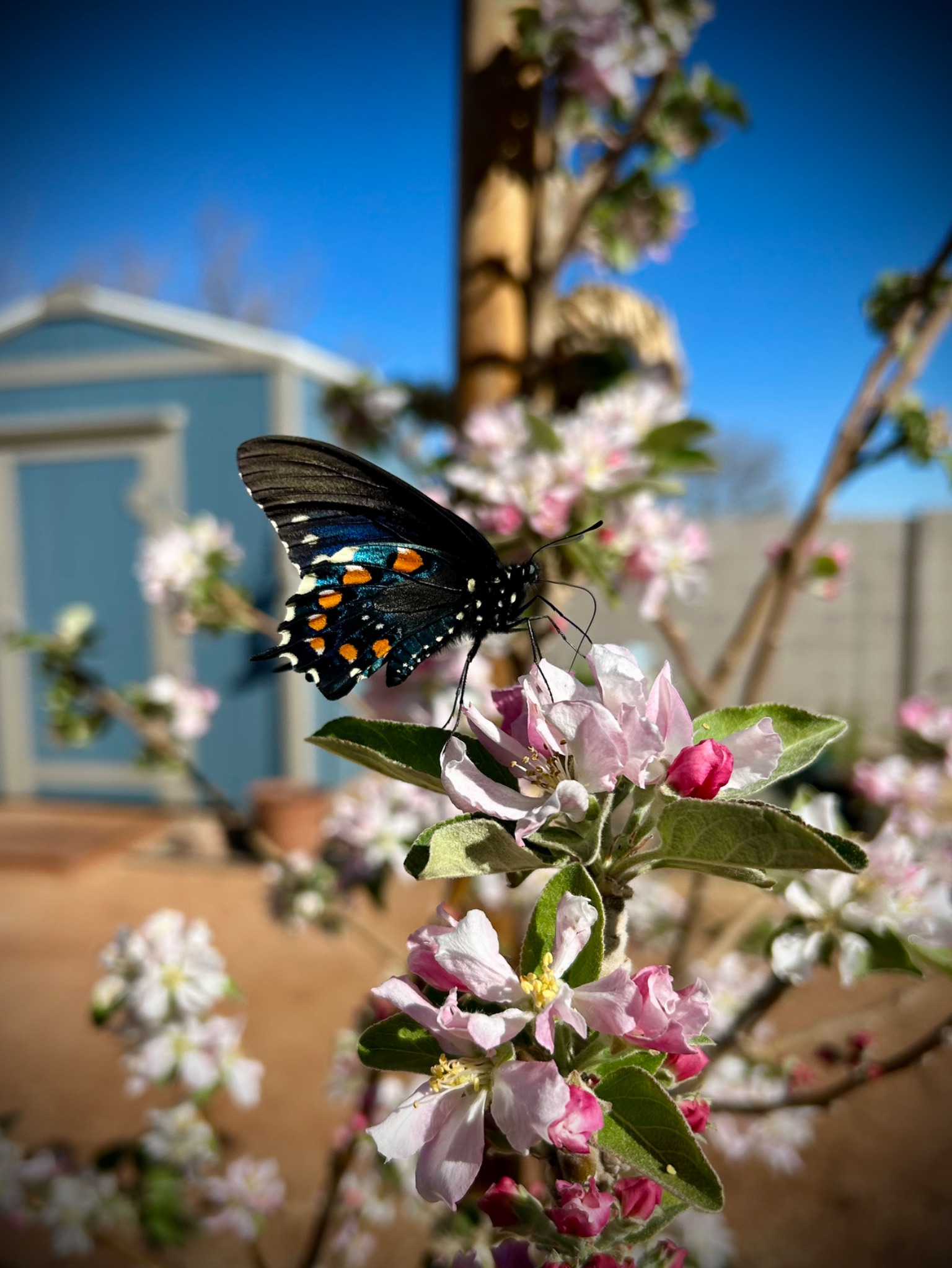 Community photo by Muneka