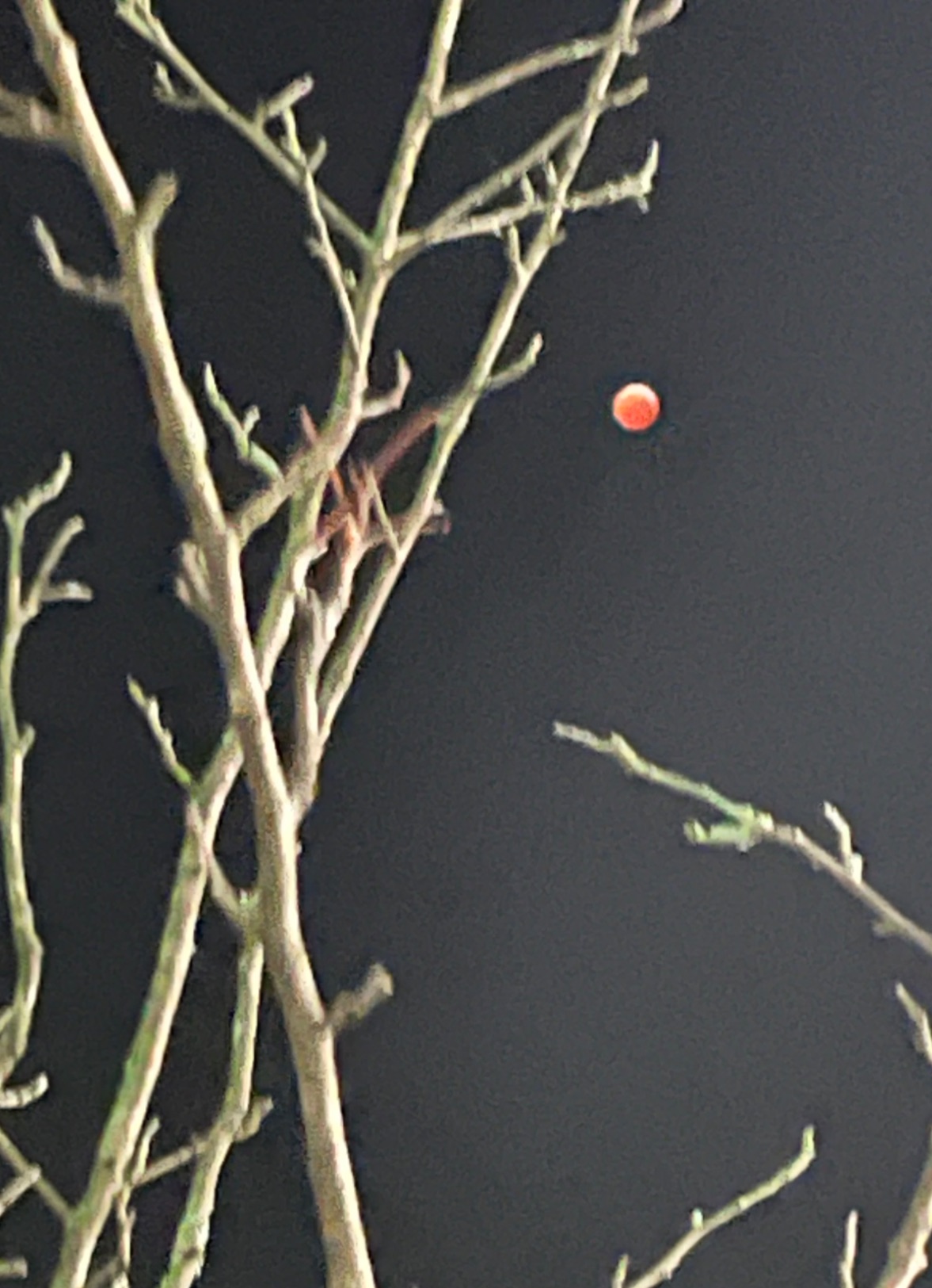 Community photo by Maggie