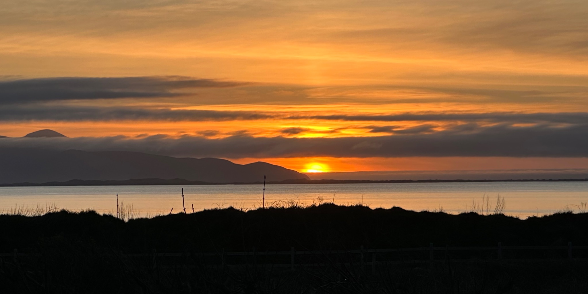 Community photo by Noirin