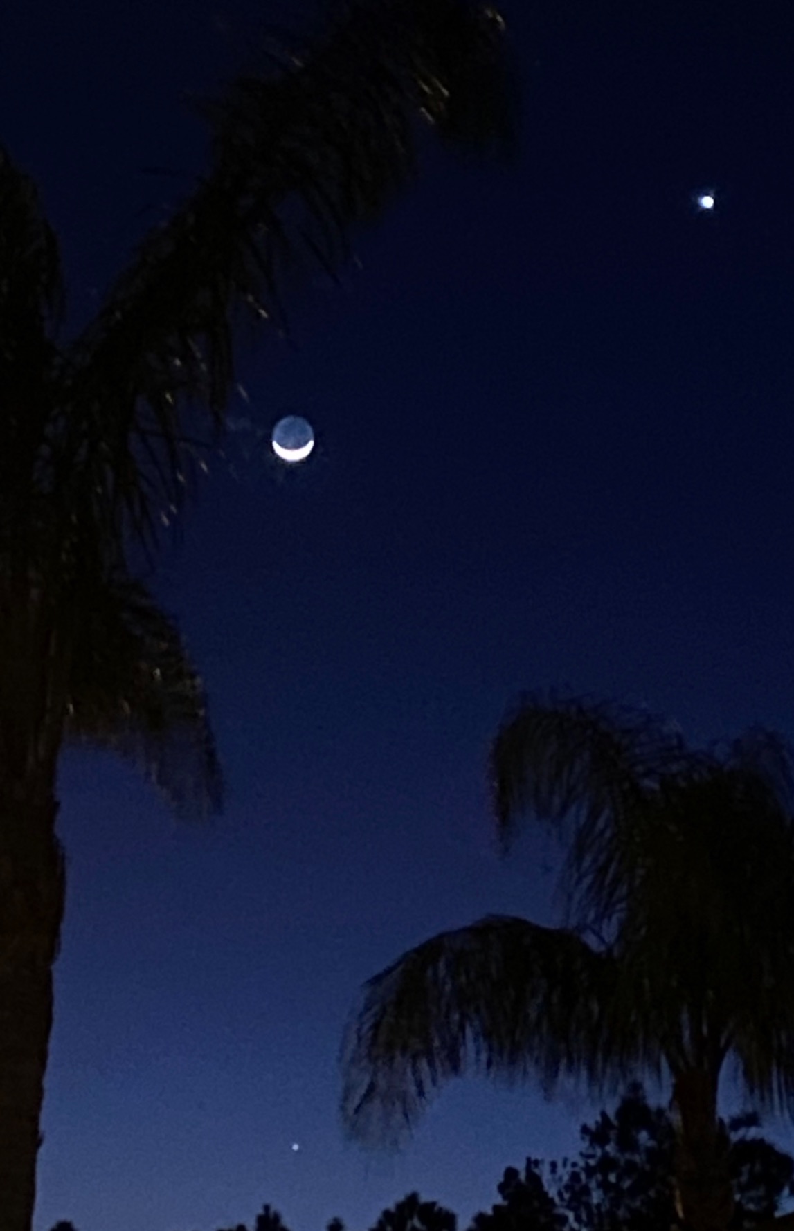 Community photo by Sheri Matthews | New Smyrna Beach, Florida, USA