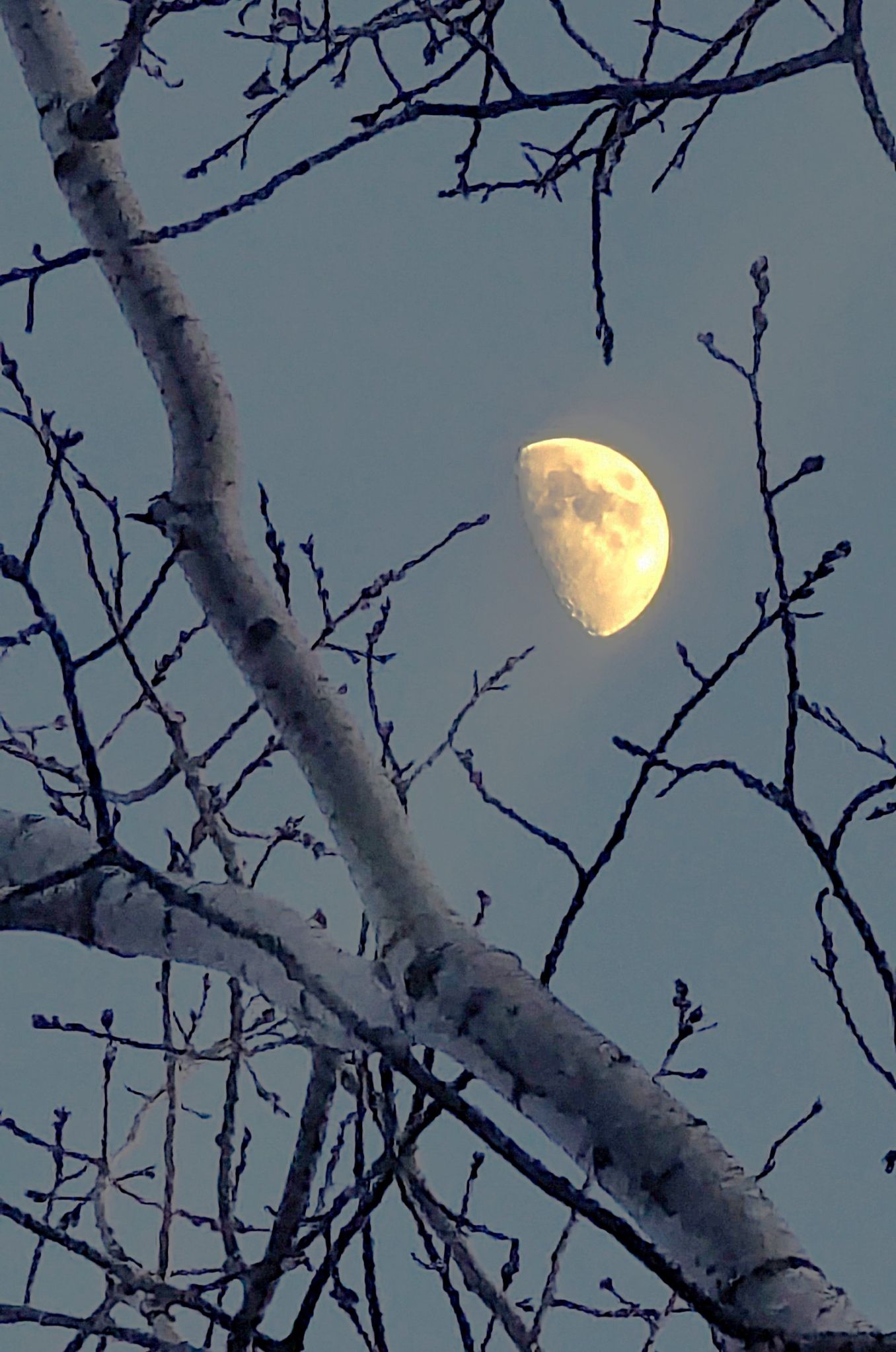 Community photo by Asha