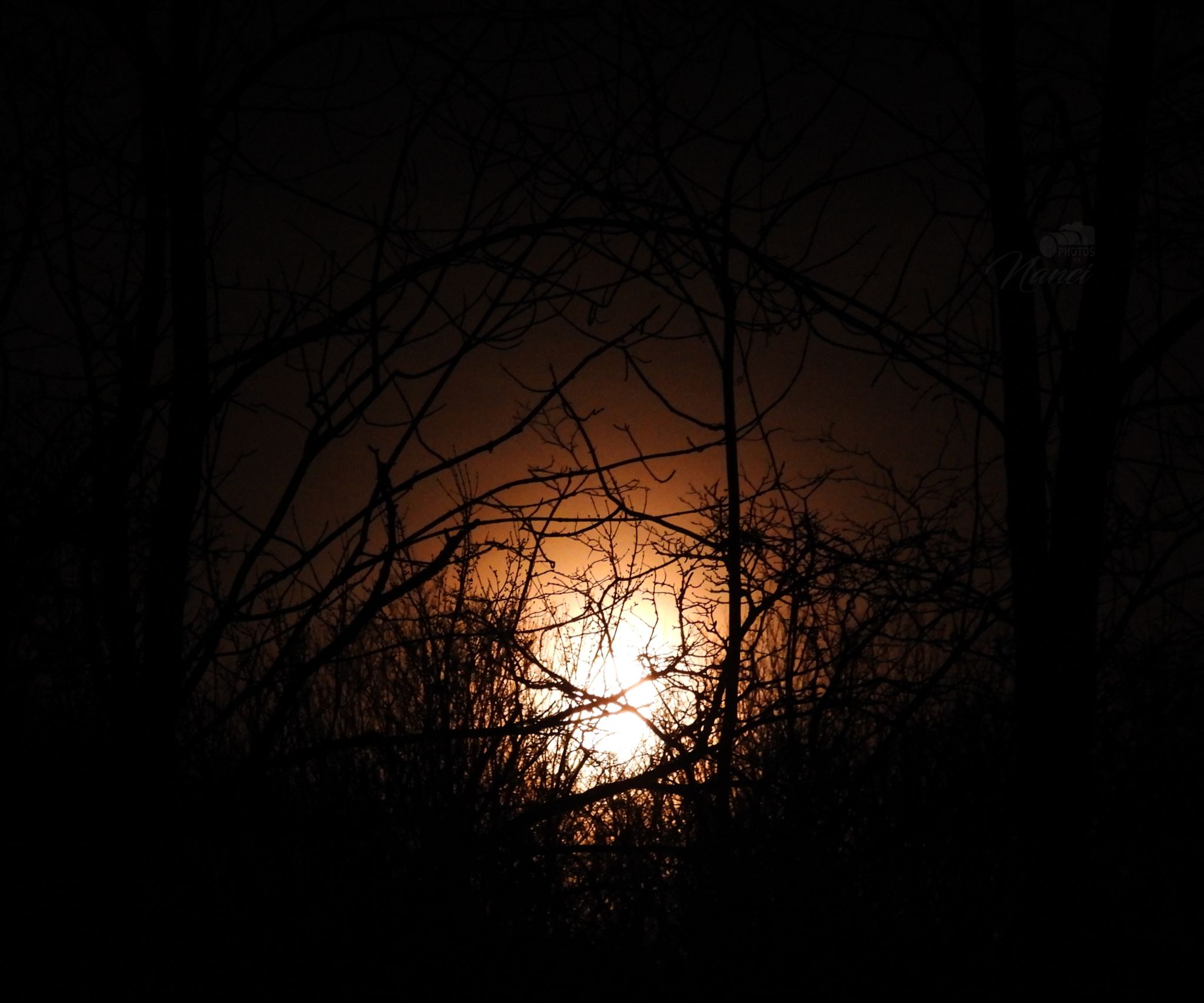 Community photo entitled Moon ambiance by Nanci McCraine on 03/11/2025 at over Cayuga Lake region Ithaca NYS