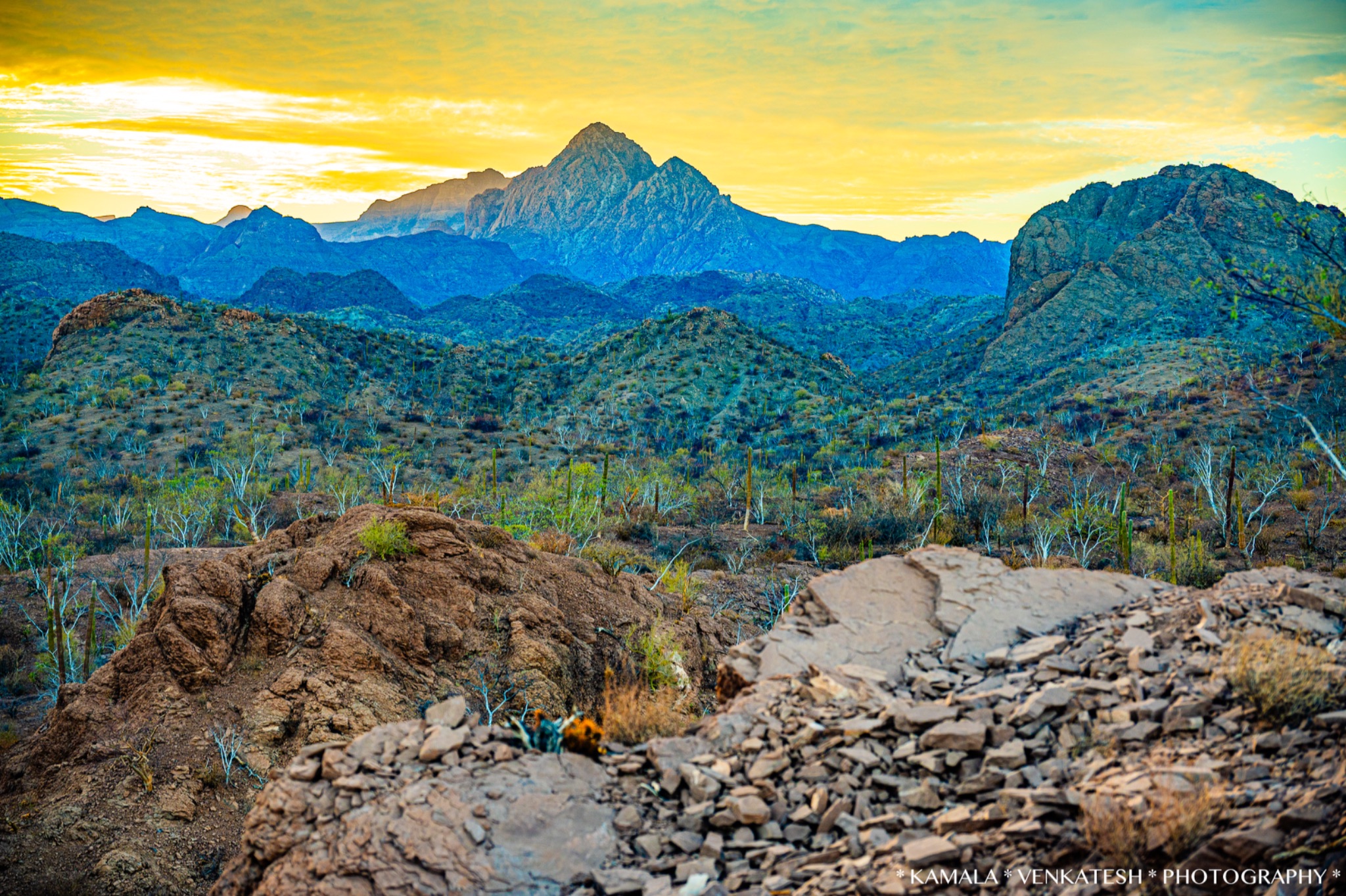 Community photo by Kamala