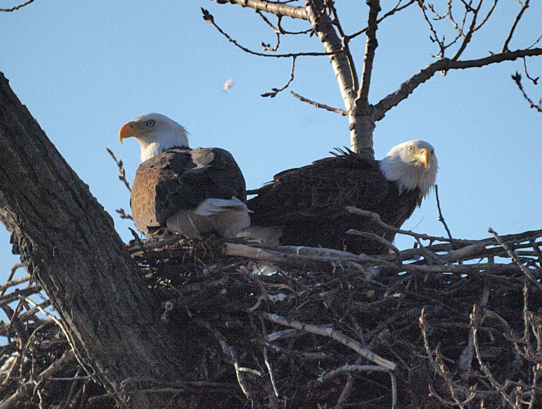 Community photo by Randy