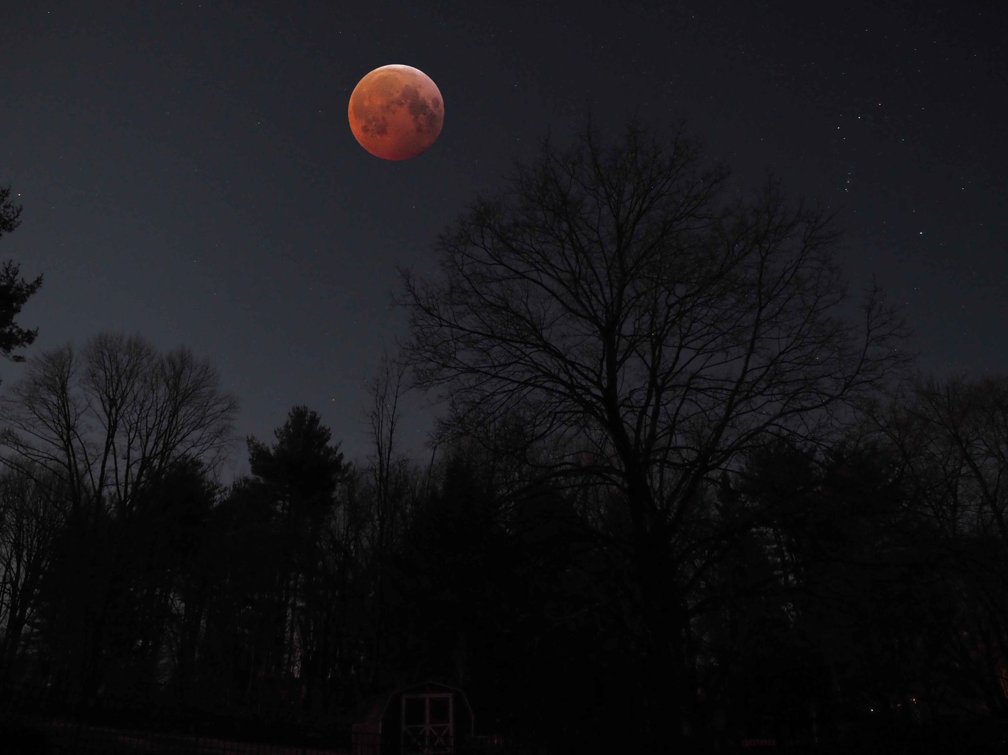 Community photo by Bobbie