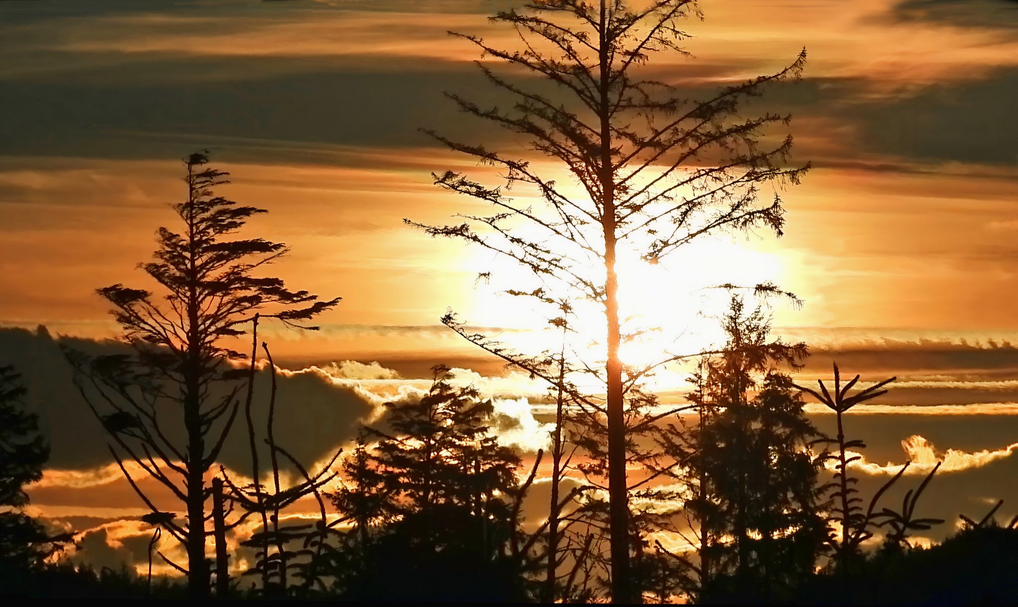 Community photo by Cecille Kennedy | Oregon Coast, Oregon