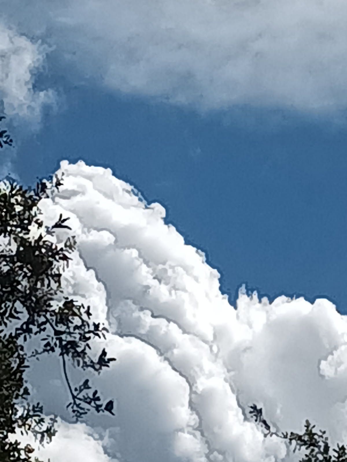 Community photo by Denise Elles | Southern California