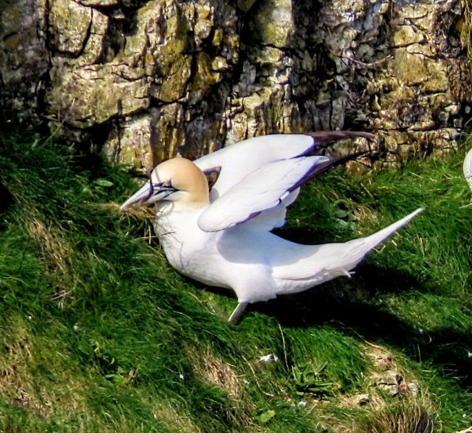 Community photo by Mike Atkinson | Flamborough , North East Coast England