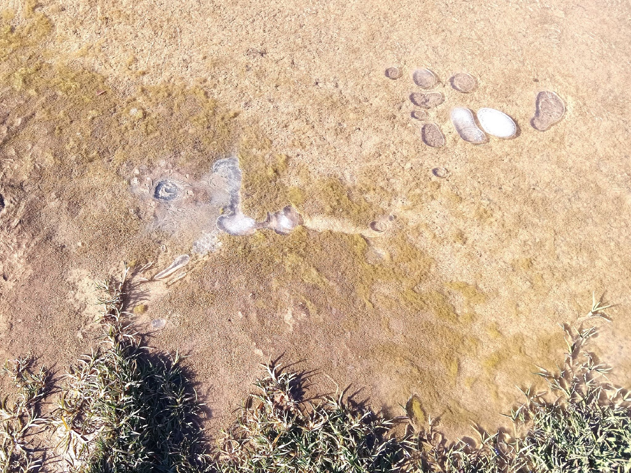 Community photo by Hassan