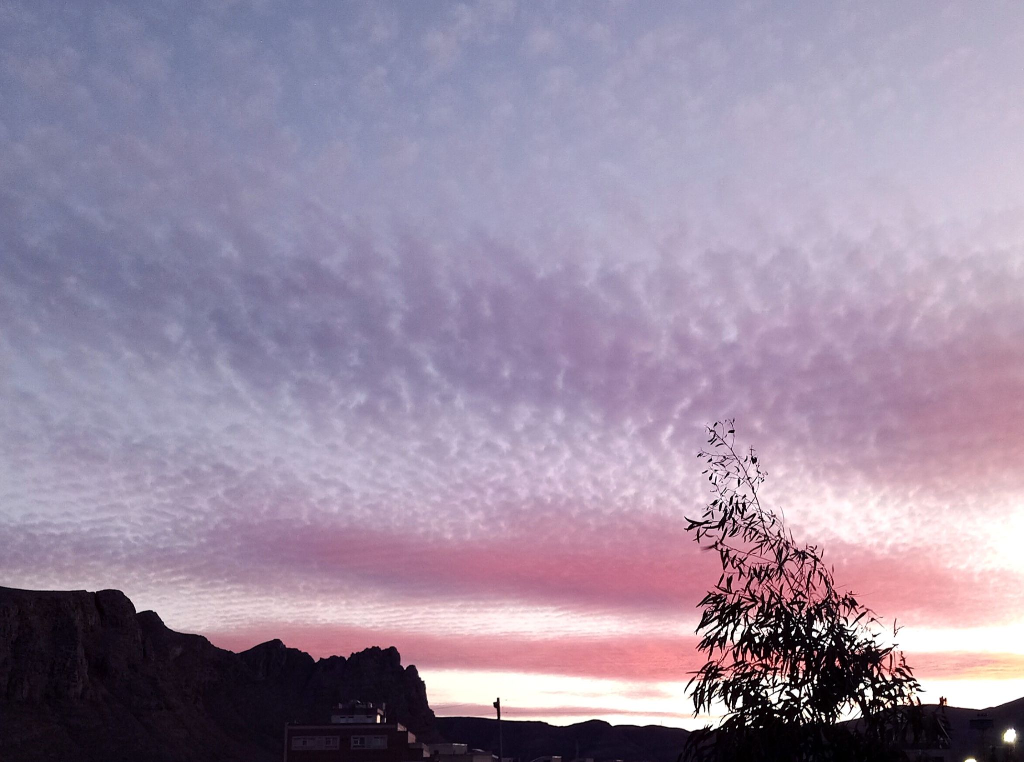 Community photo by Hassan