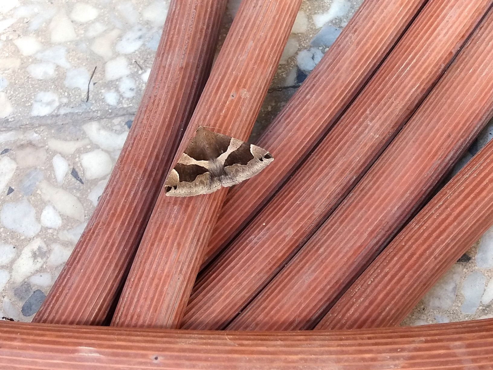 Community photo by Hassan