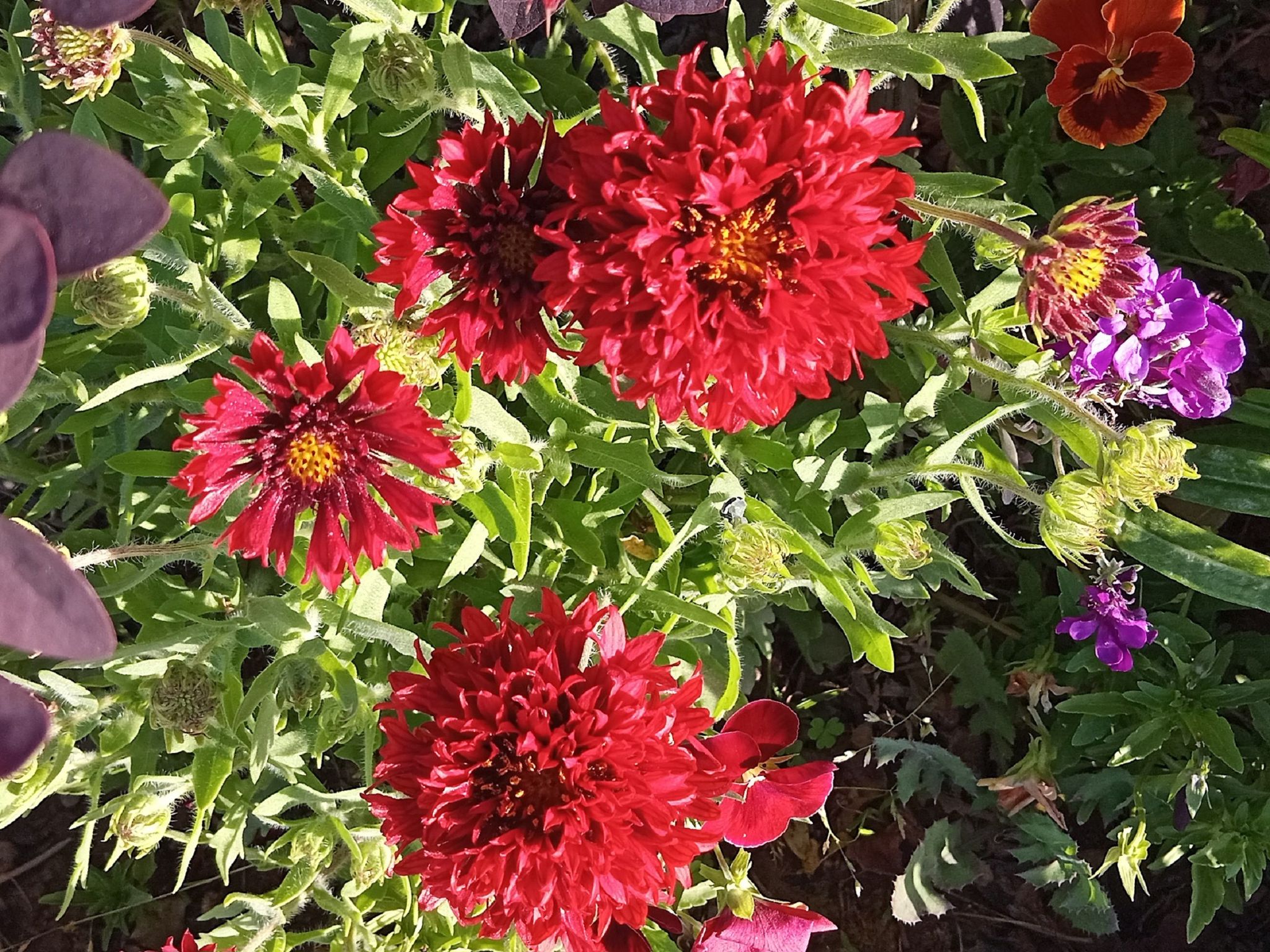 Community photo by Hassan