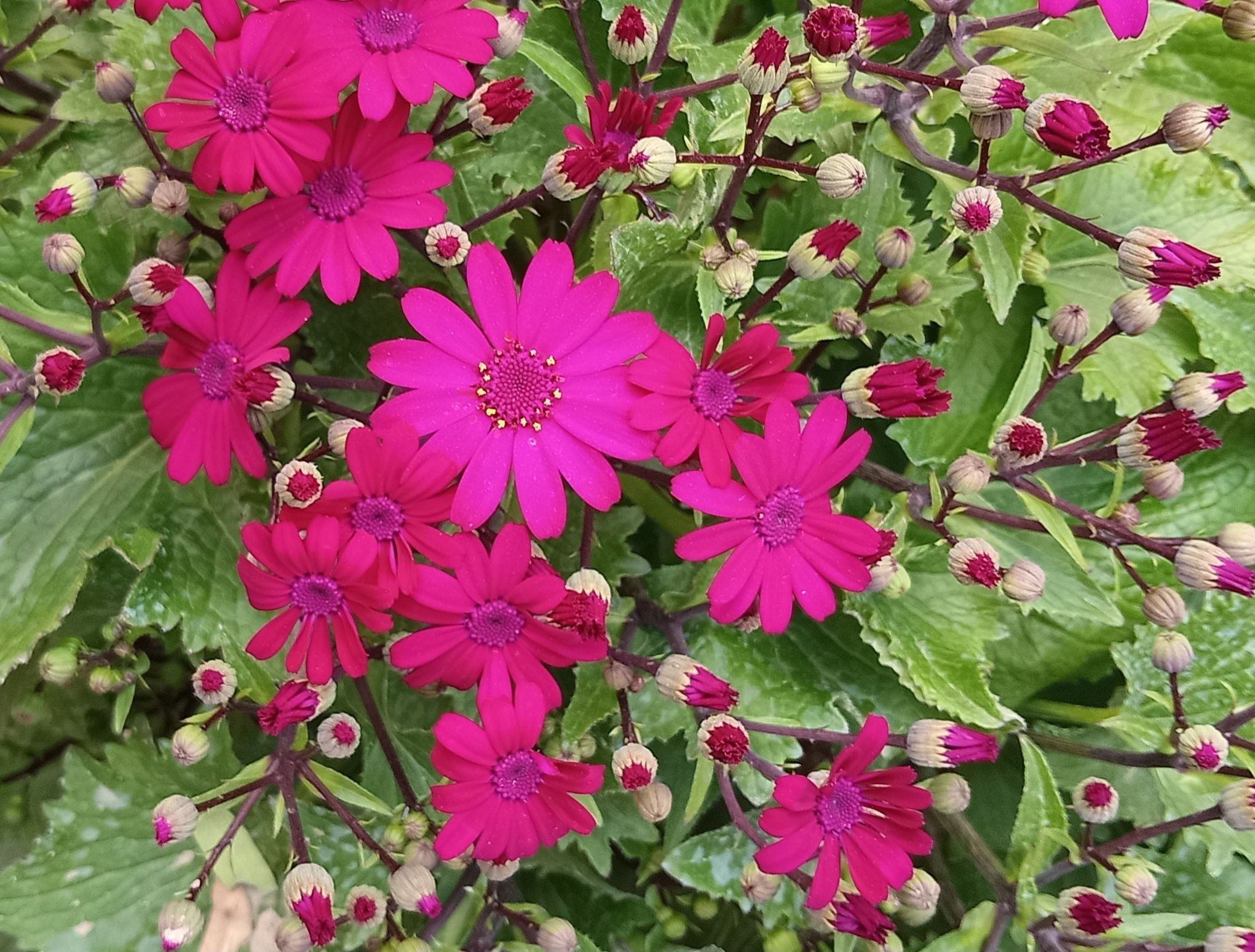 Community photo by Hassan