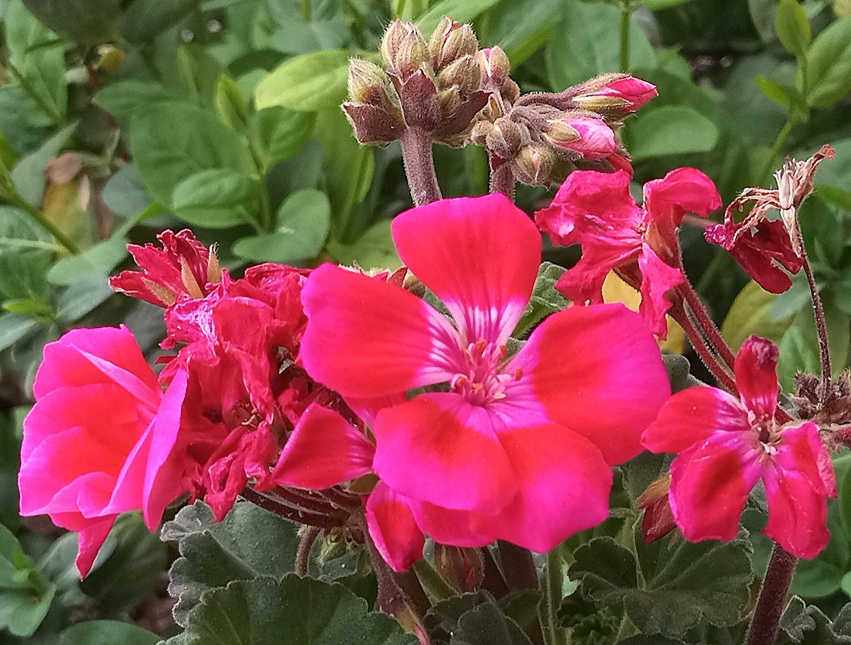 Community photo by Hassan