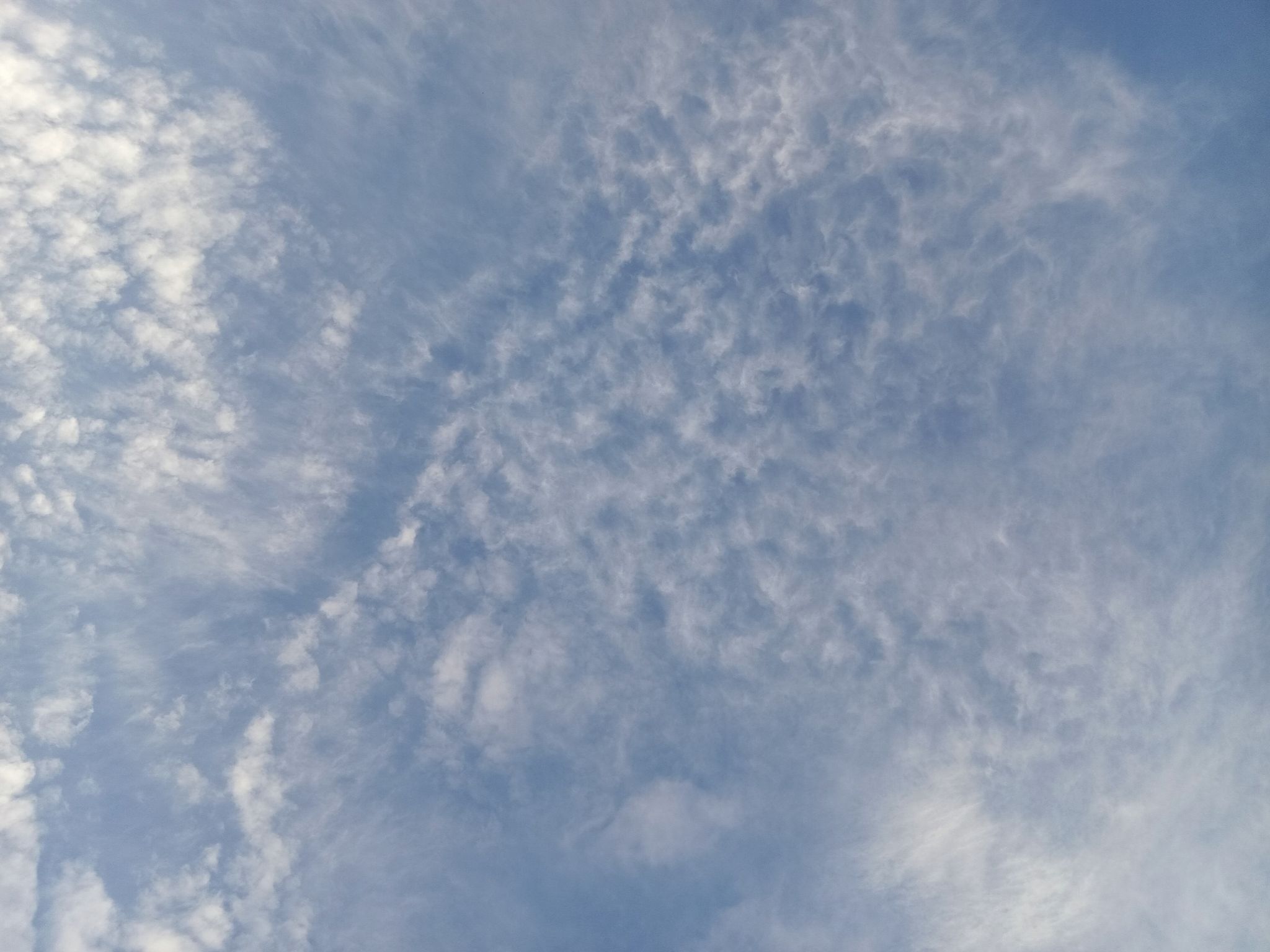 Community photo by Hassan