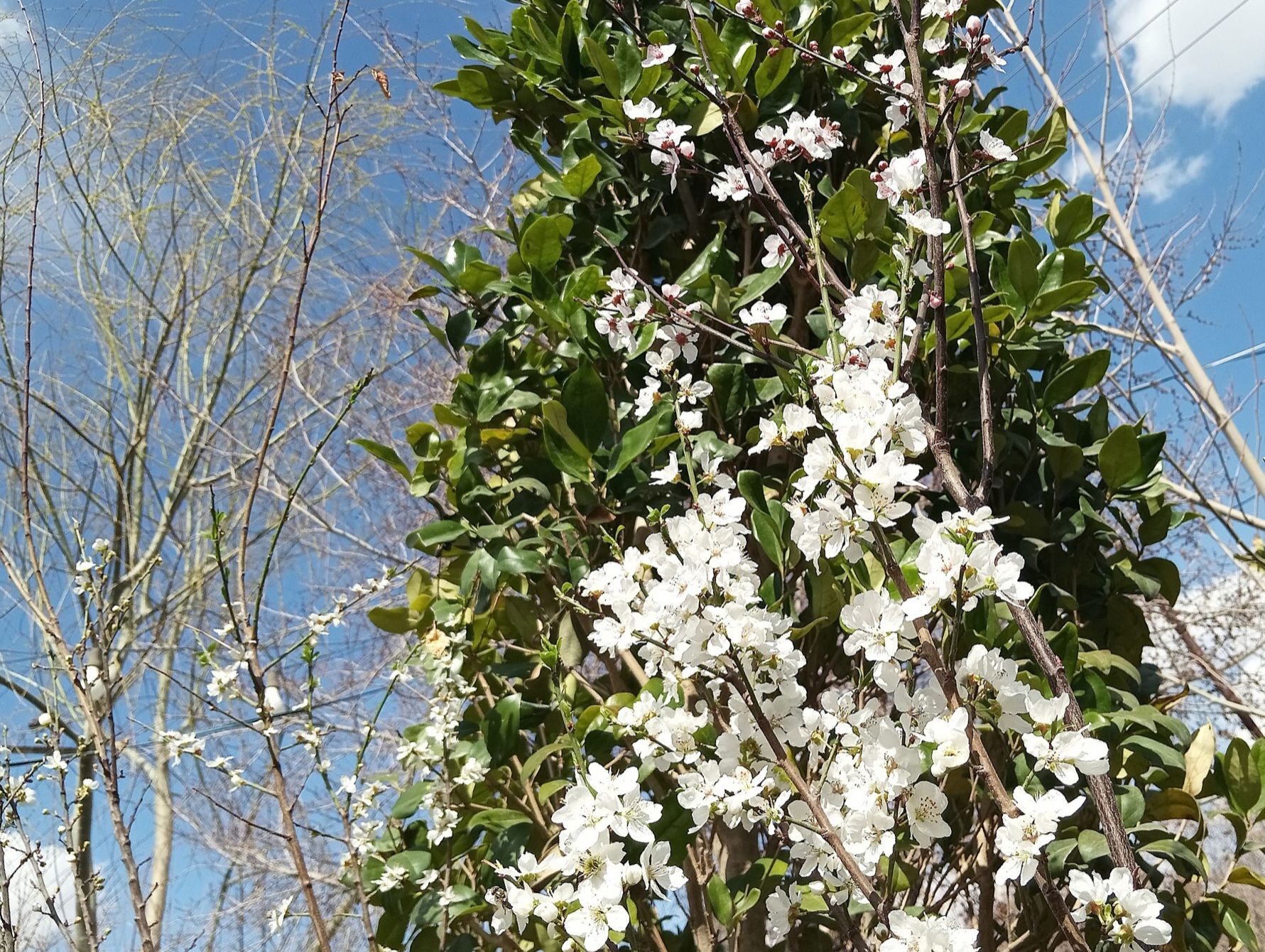 Community photo by Hassan