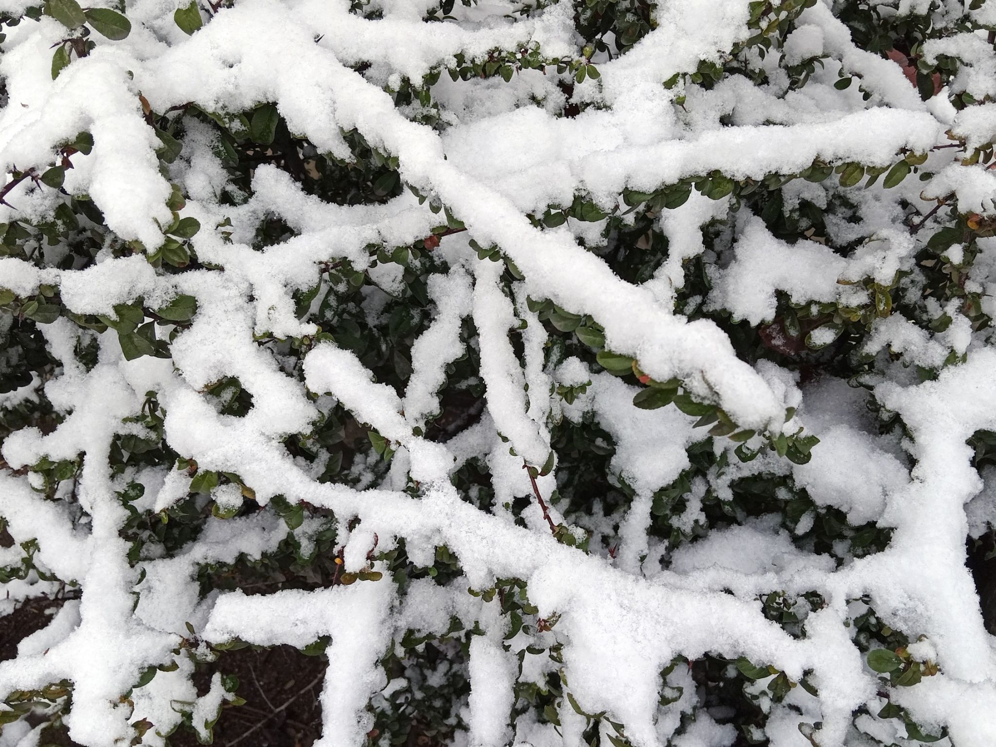 Community photo by Hassan