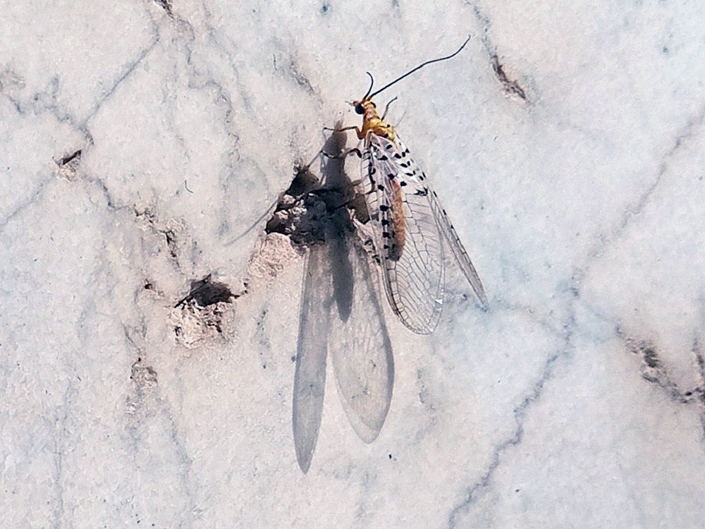 Community photo by Hassan