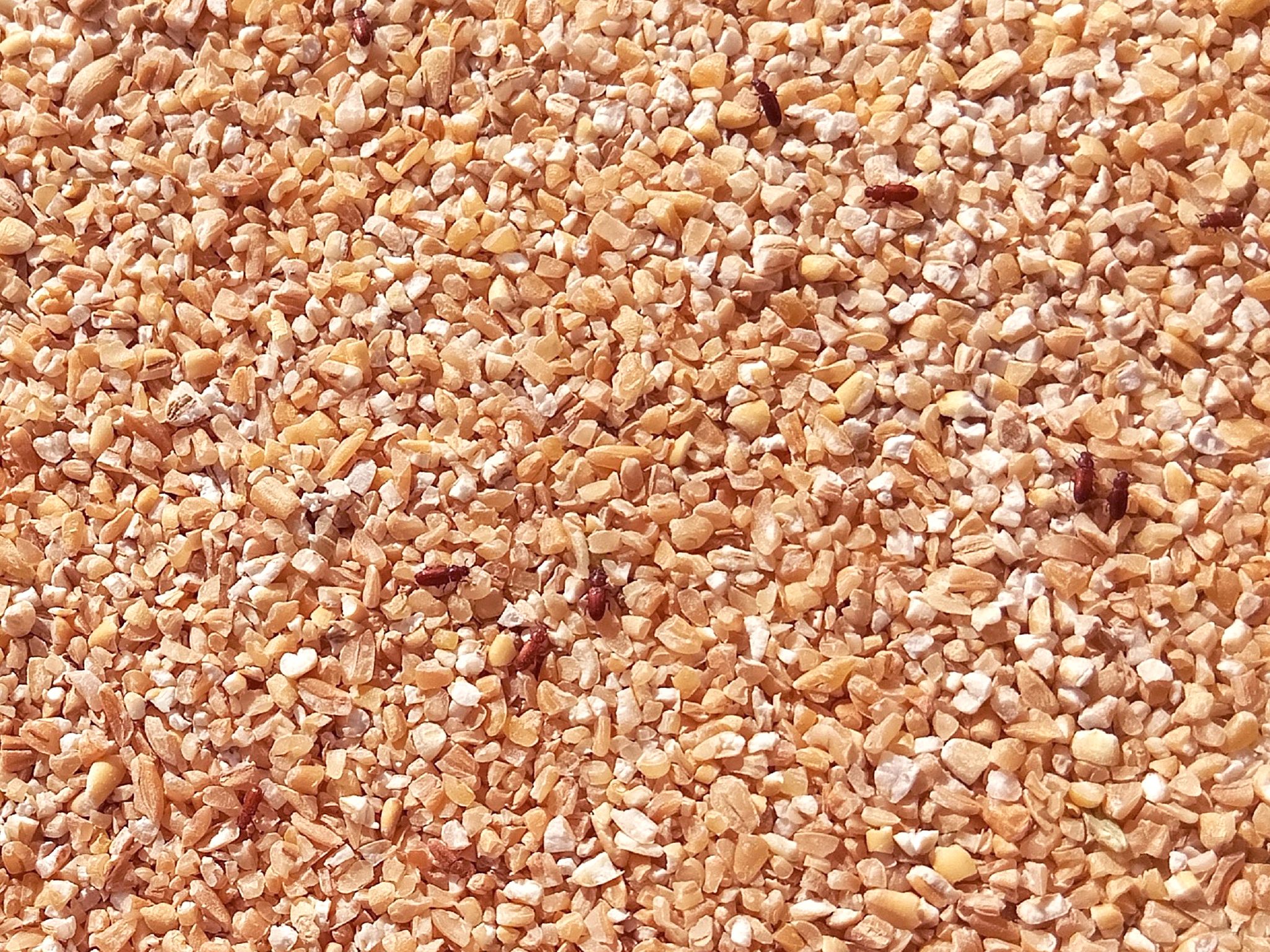 Community photo by Hassan