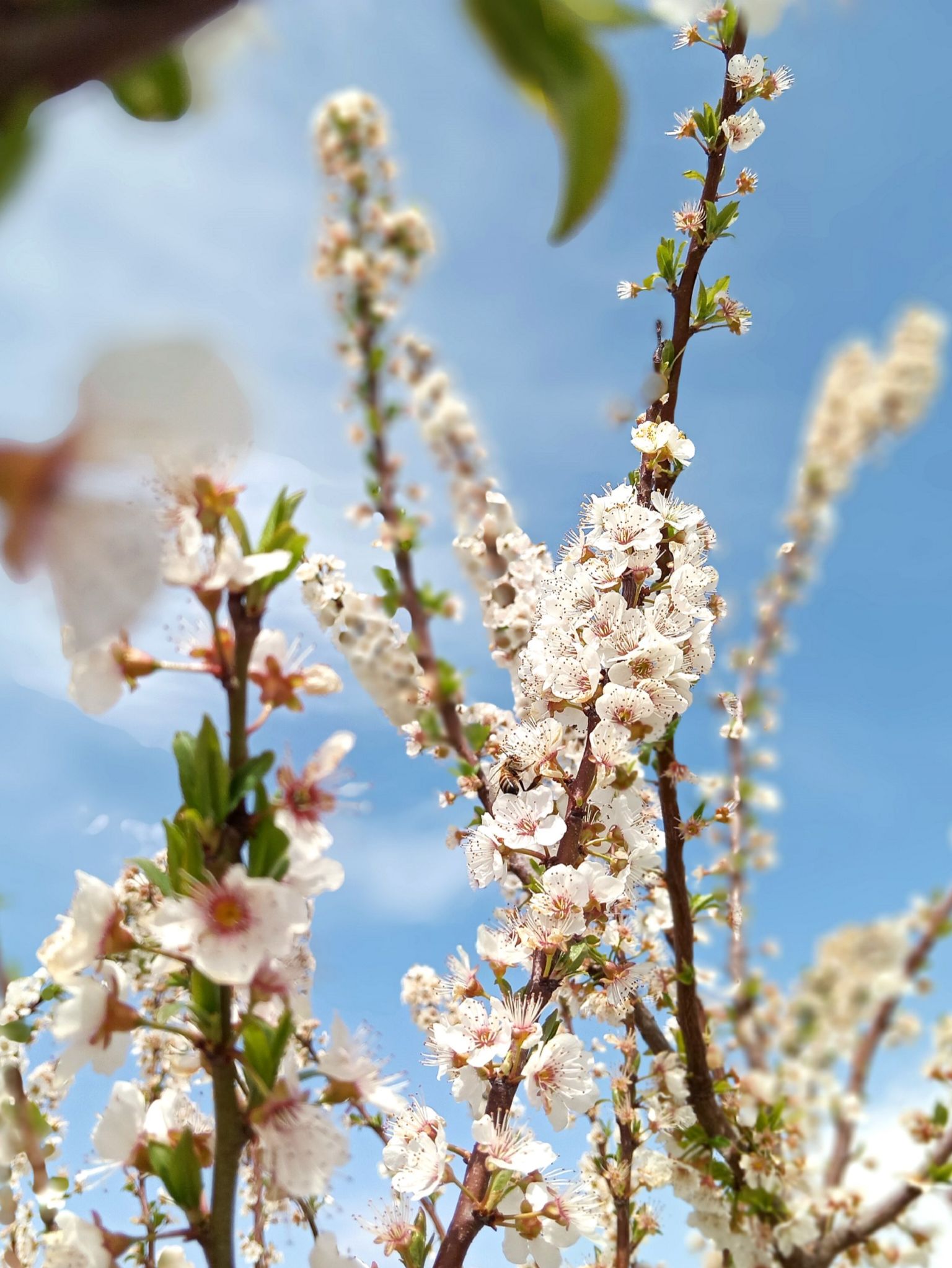 Community photo by Hassan