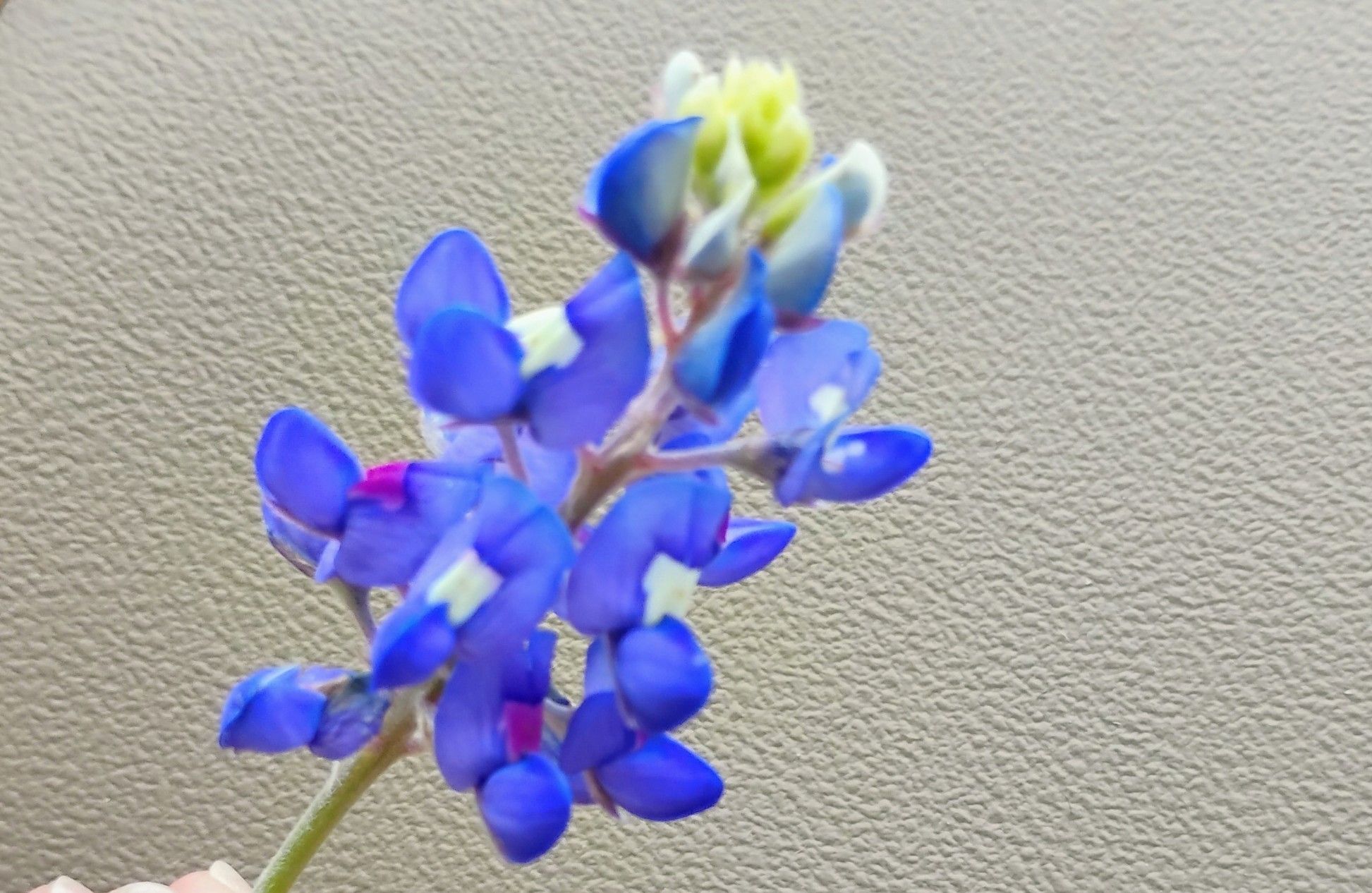 Community photo by Mary