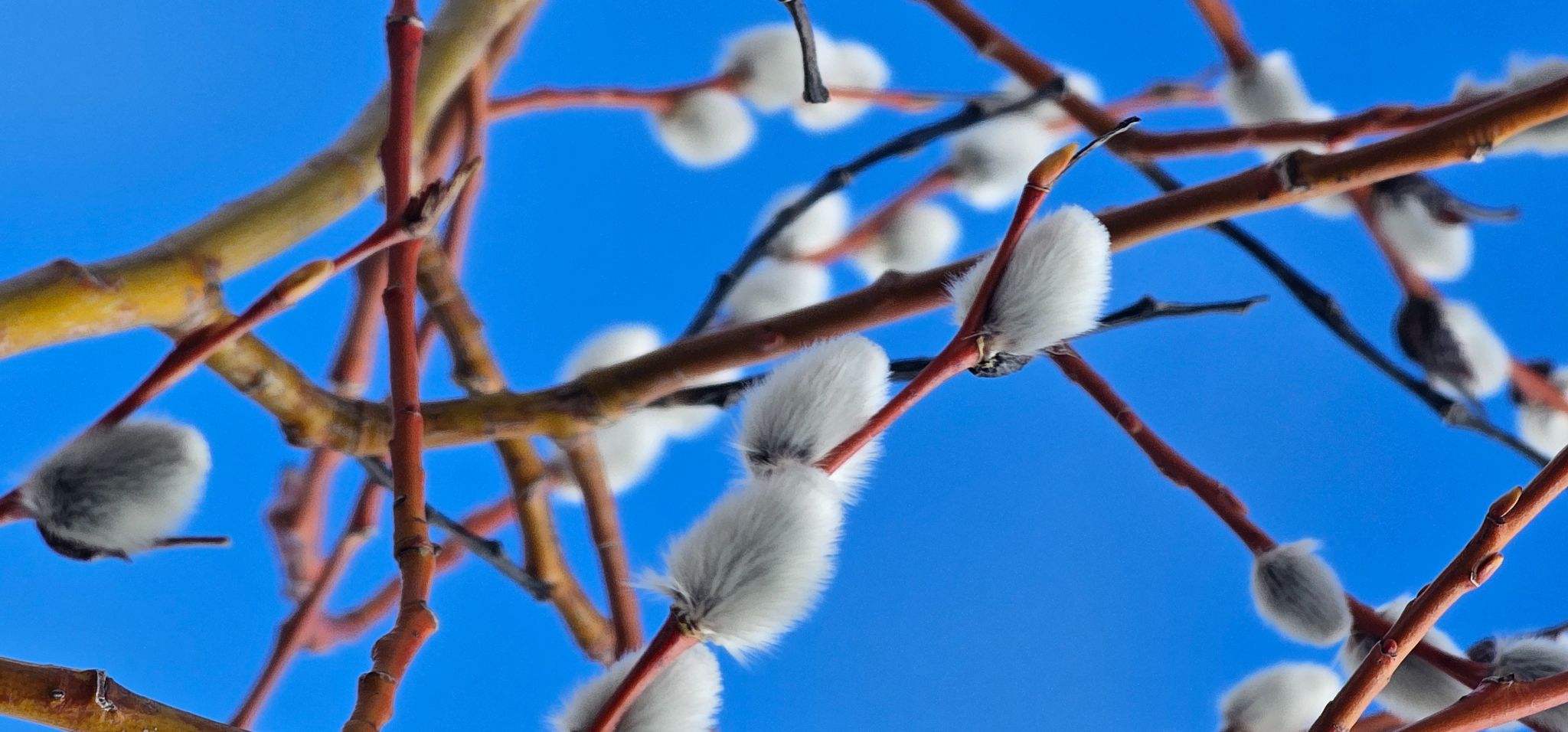 Community photo by Brad