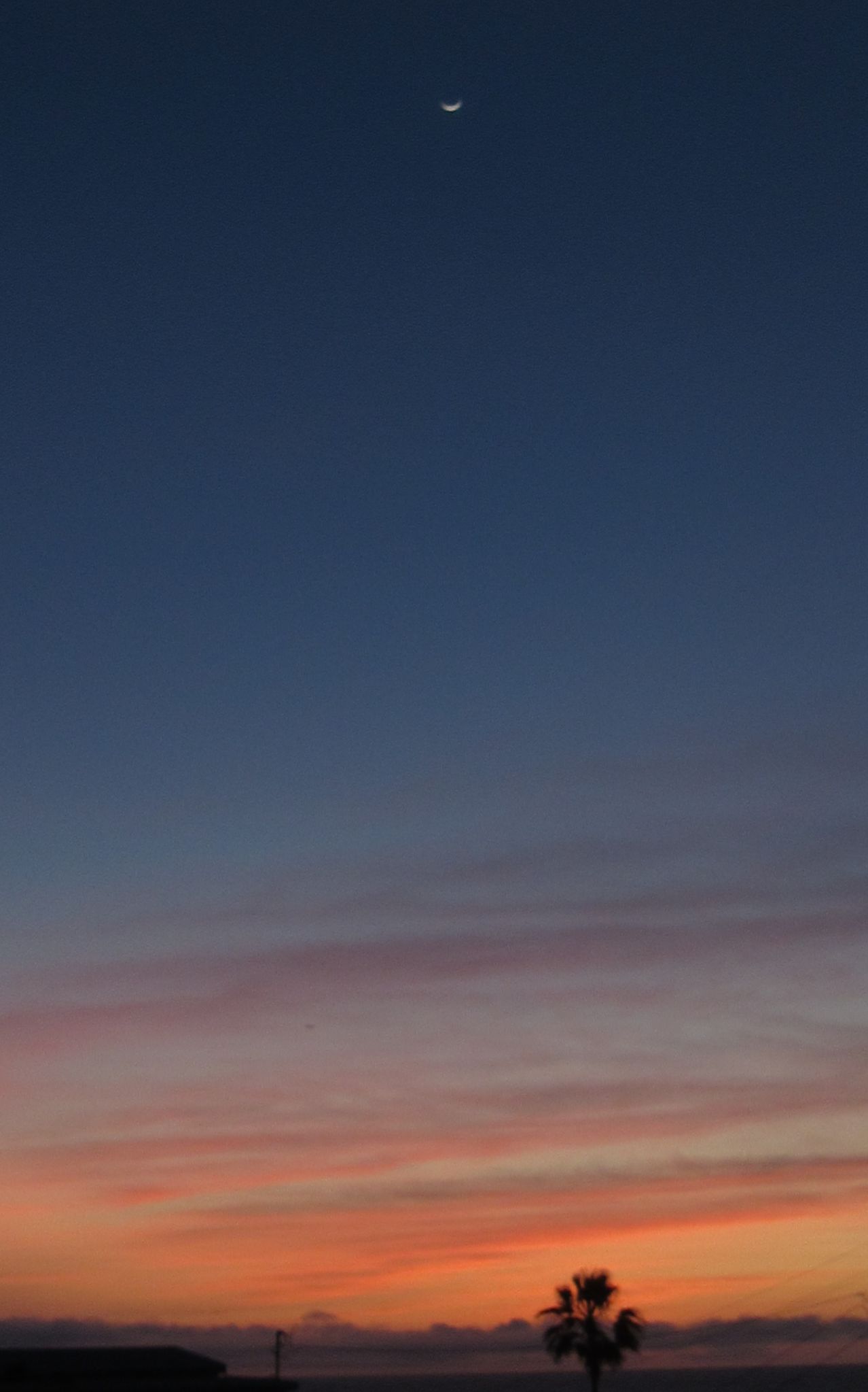 Community photo by Laurie Engelhardt | Hermosa Beach,  CA