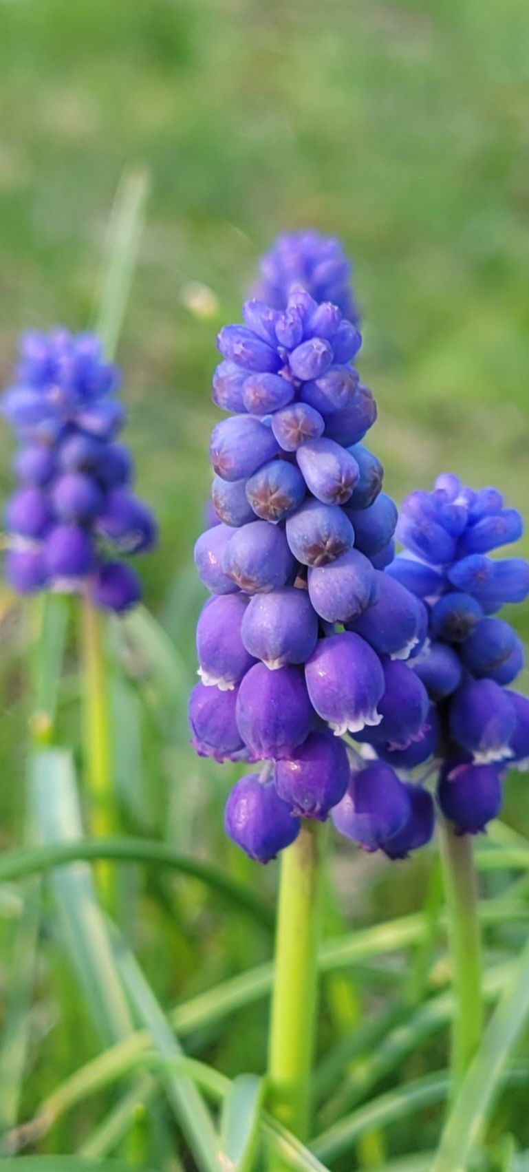 Community photo by Jeff