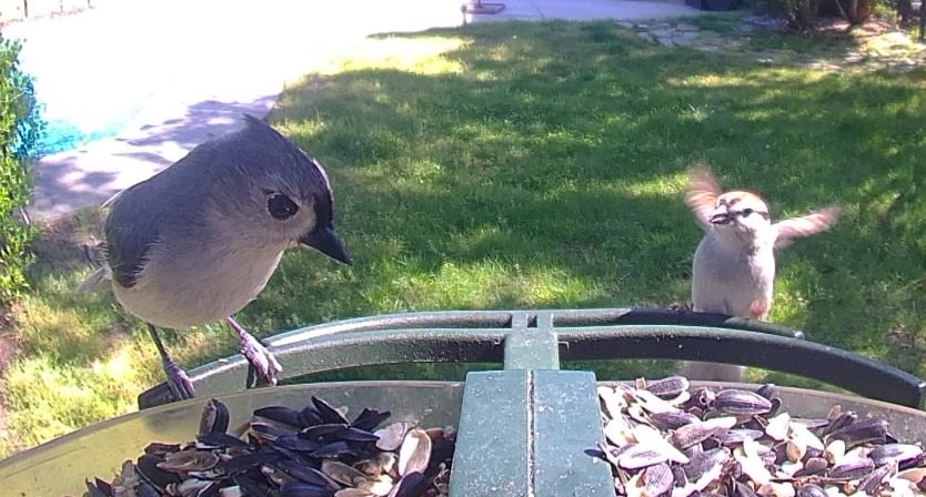 Community photo by Mark