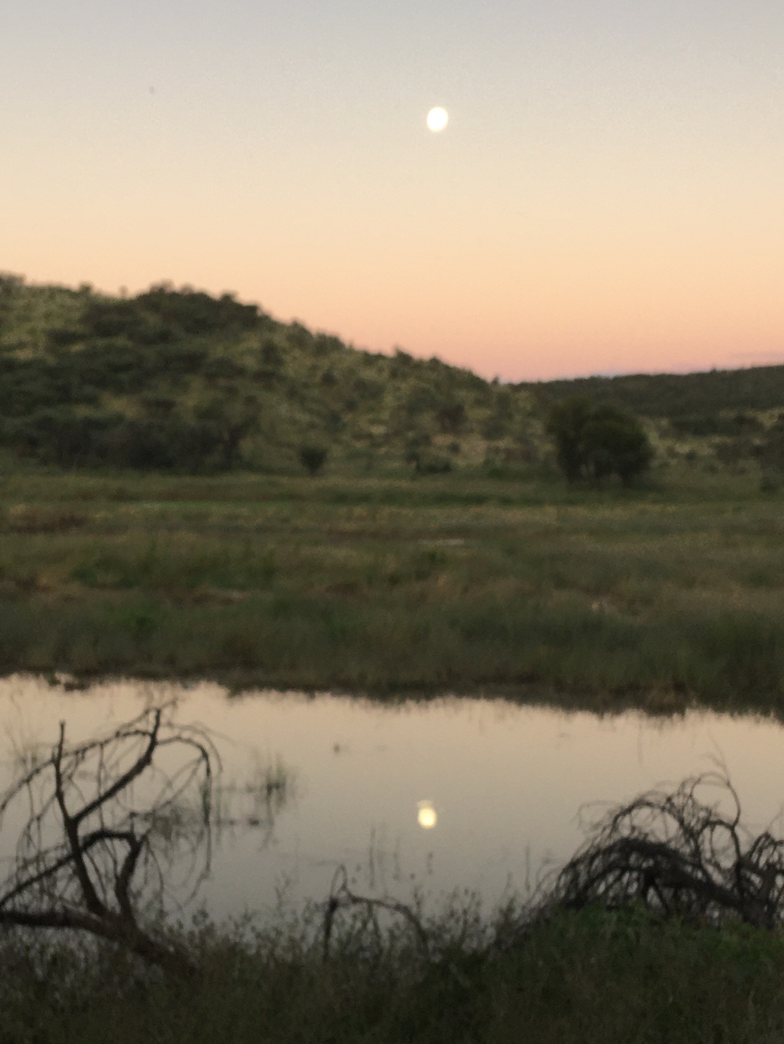 Community photo by Monika Hoffmann | Namibia