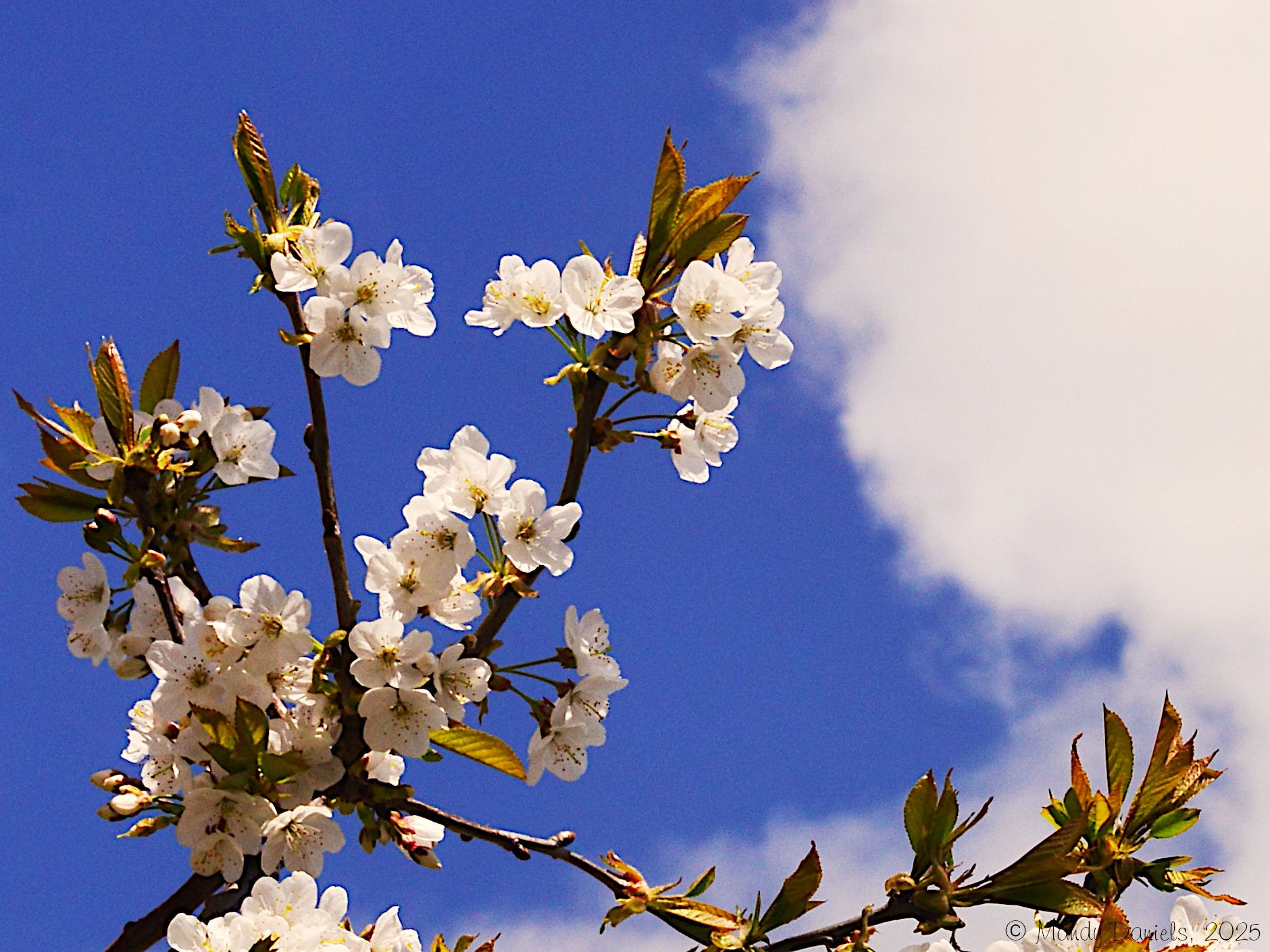 Community photo by Mandy