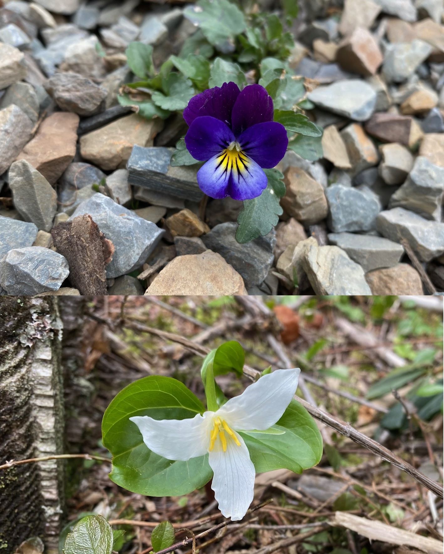 Community photo by Mac