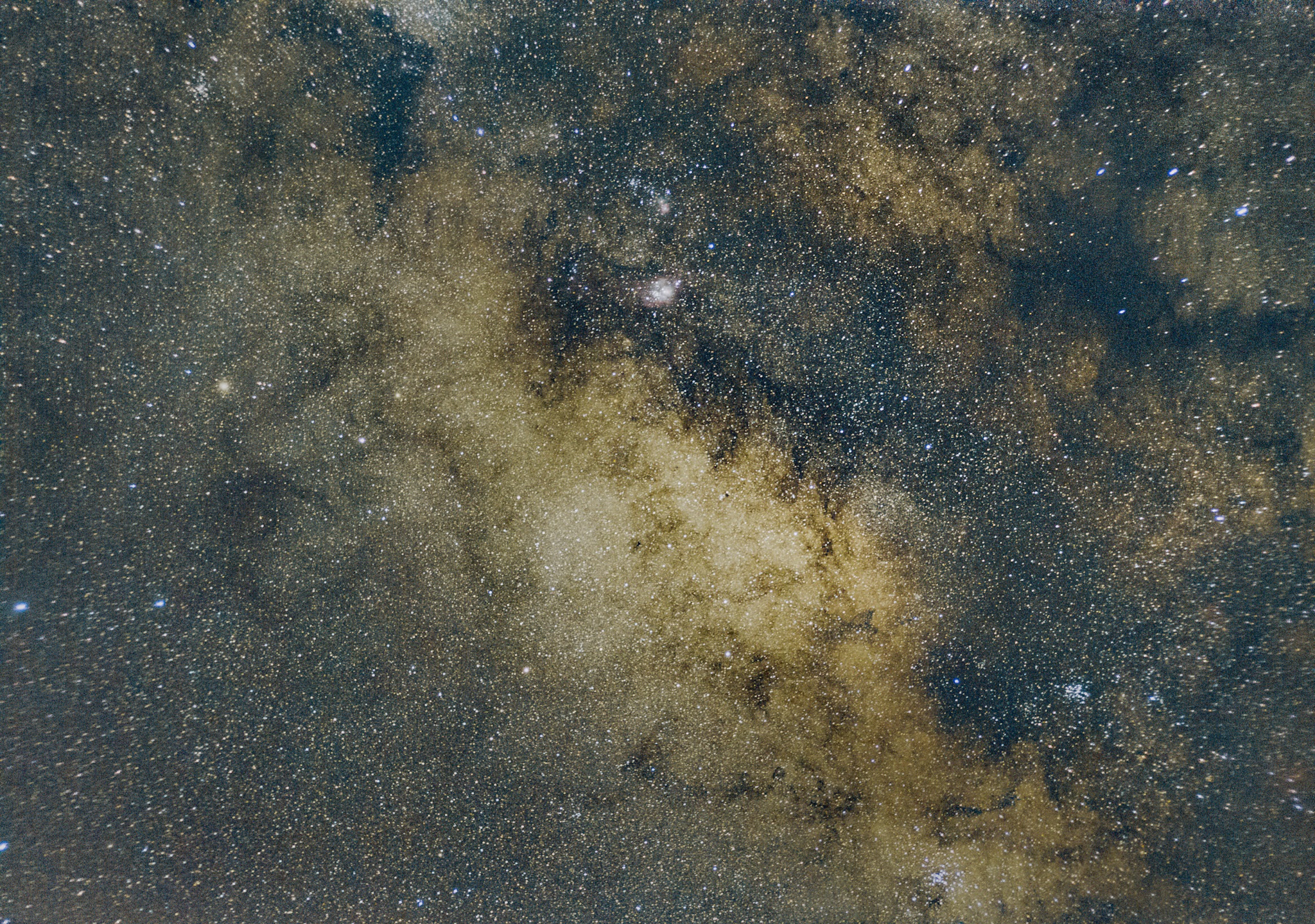 Community photo entitled Among These Stars, They Live by Muhammad Abdul Rehman on 03/26/2025 at Gujrat,Punjab,Pakistan