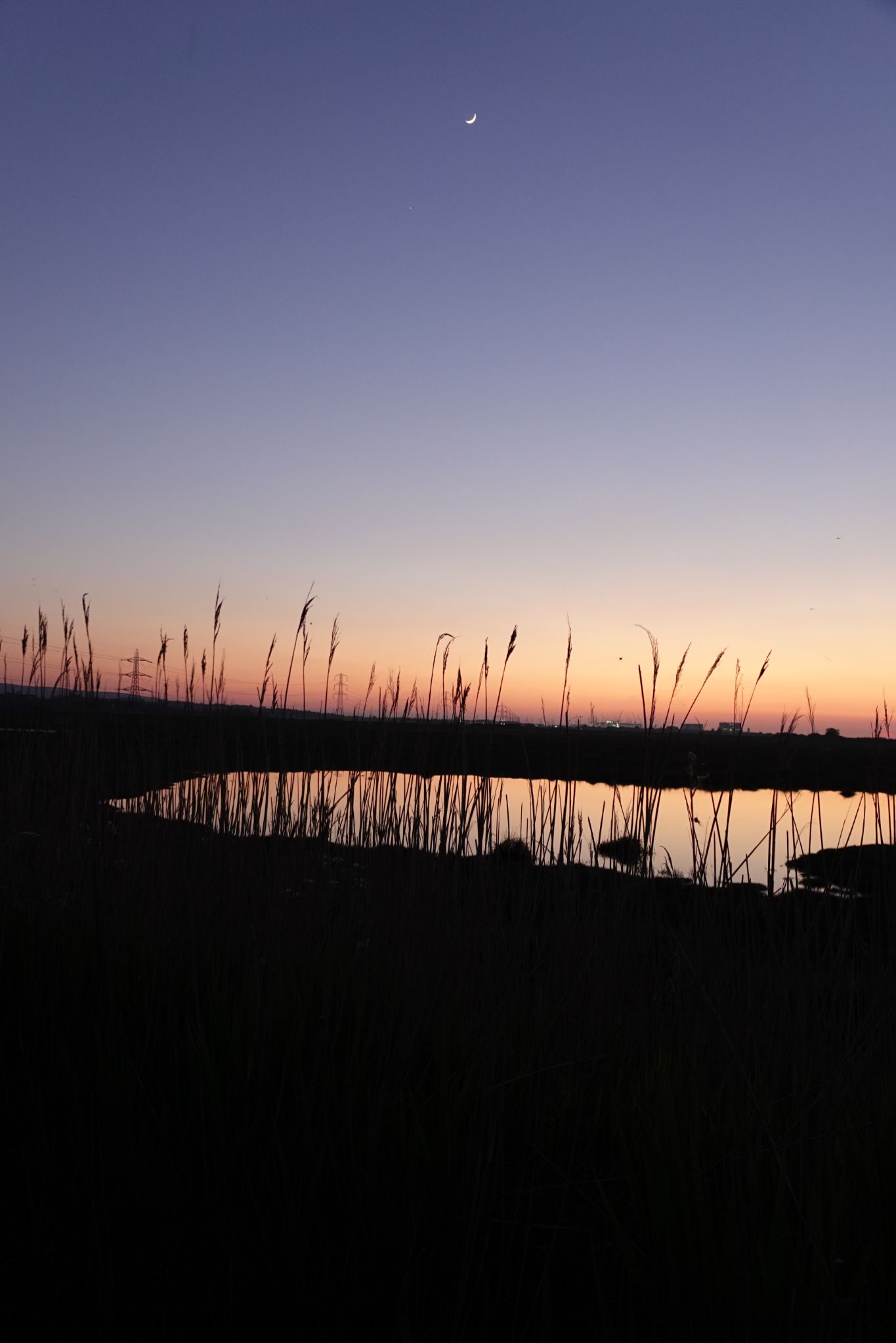 Community photo by Lorraine