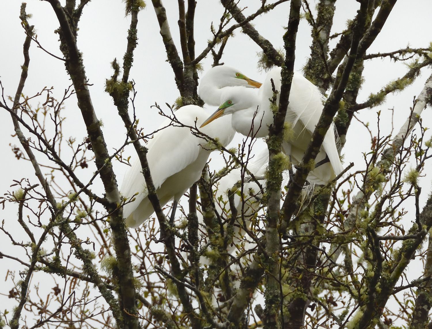 Community photo by Cecille Kennedy | Coos Bay, Oregon
