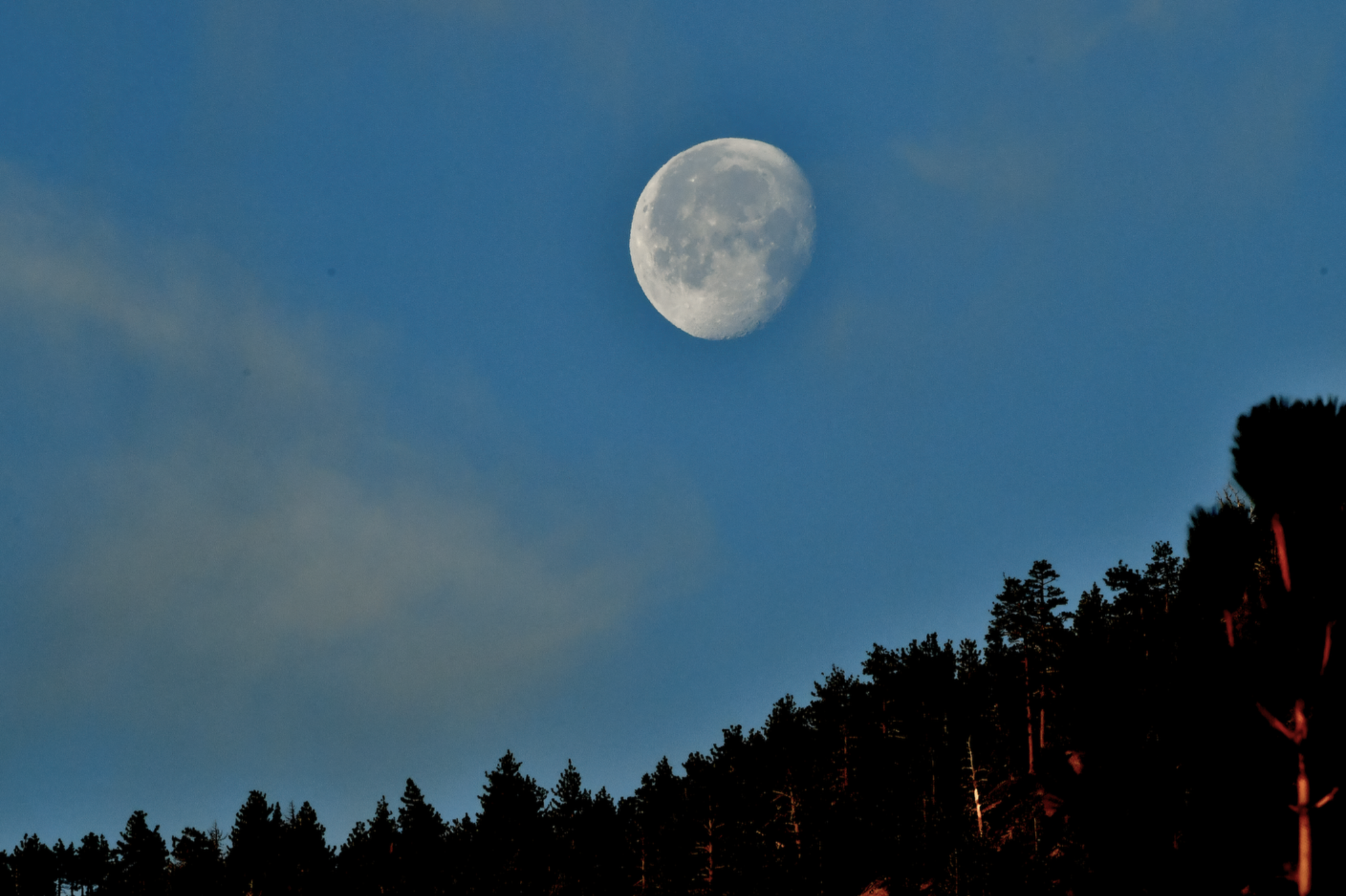 Community photo by Michael Flynn | Pine Mountain Club,California,USA