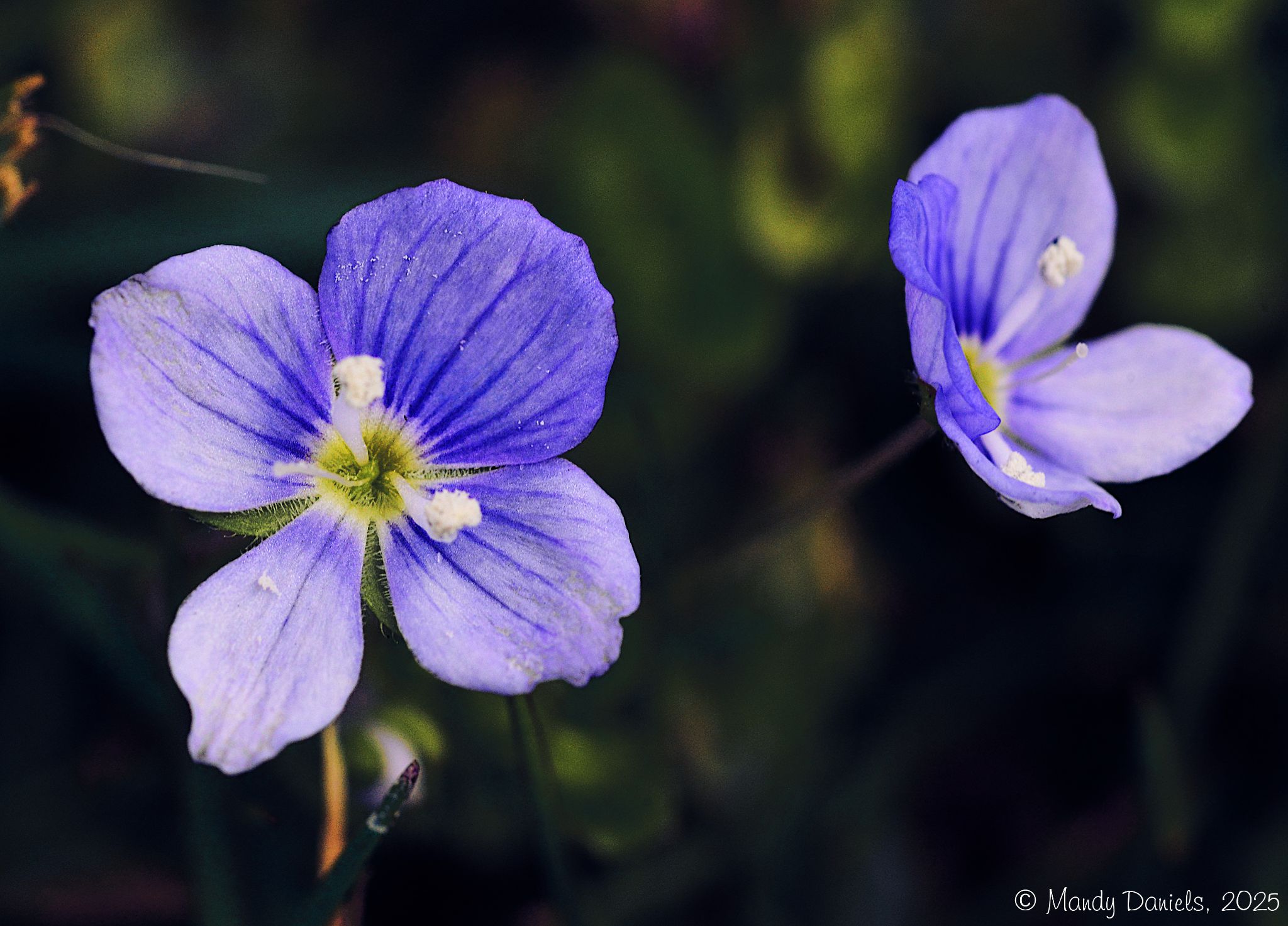 Community photo by Mandy