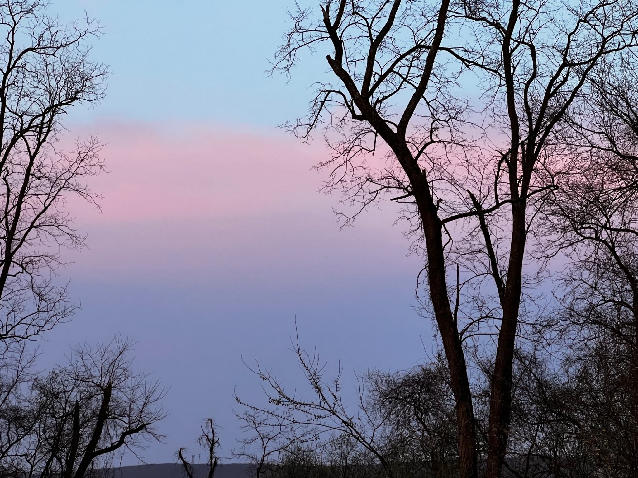 Community photo by Sudhir Sharma | Stormville, NY