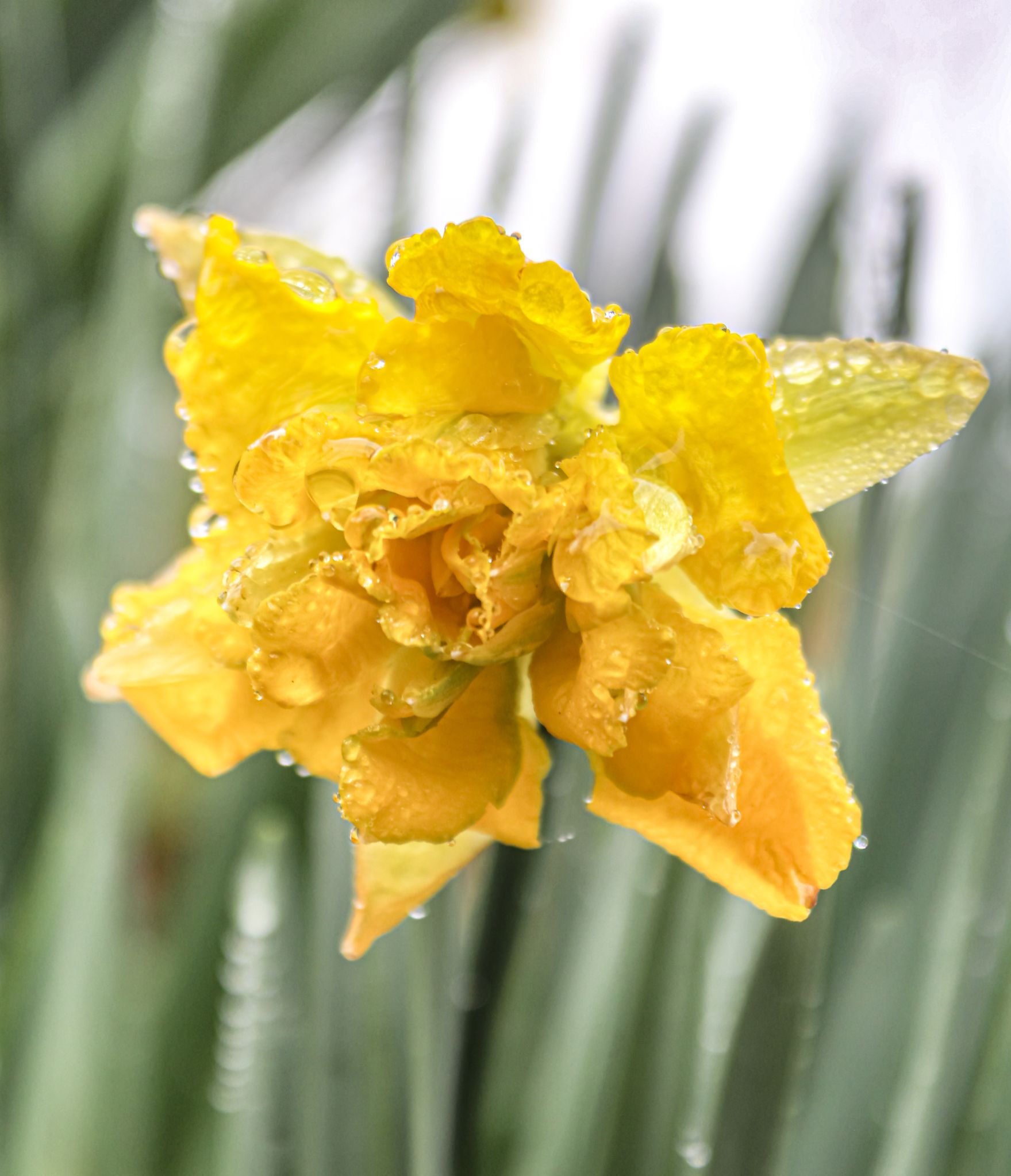 Community photo by Jean