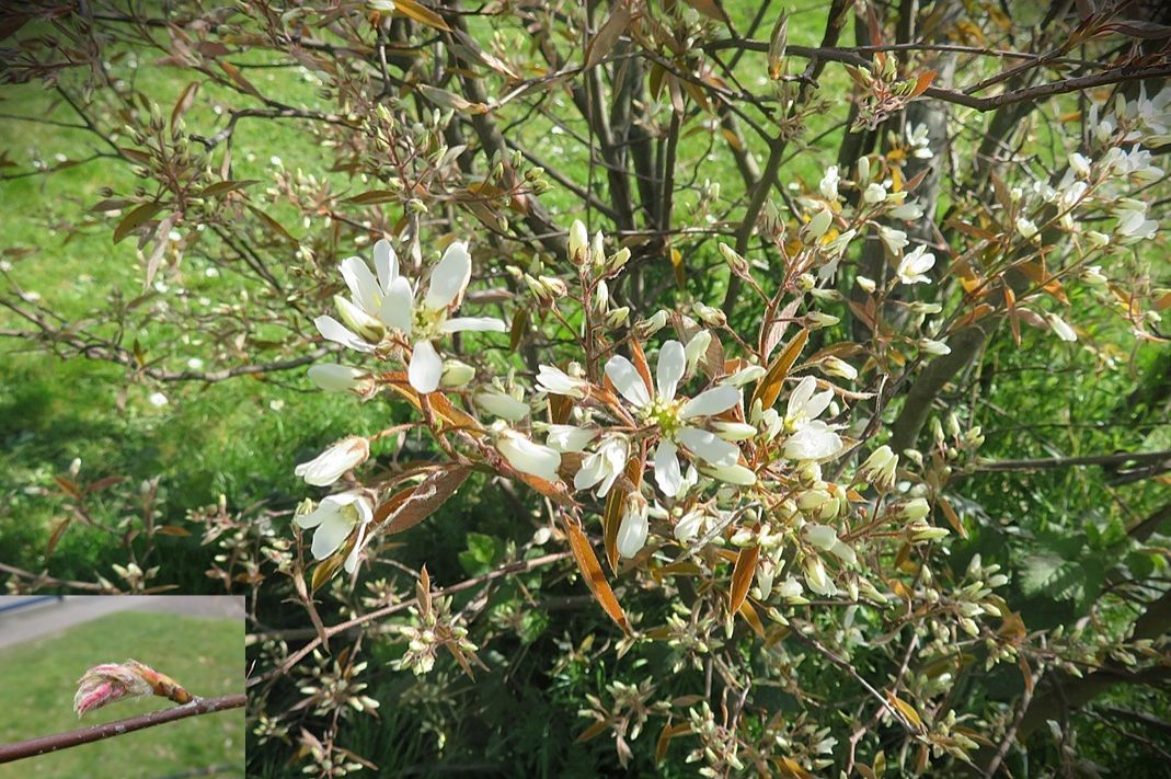 Community photo by Judith