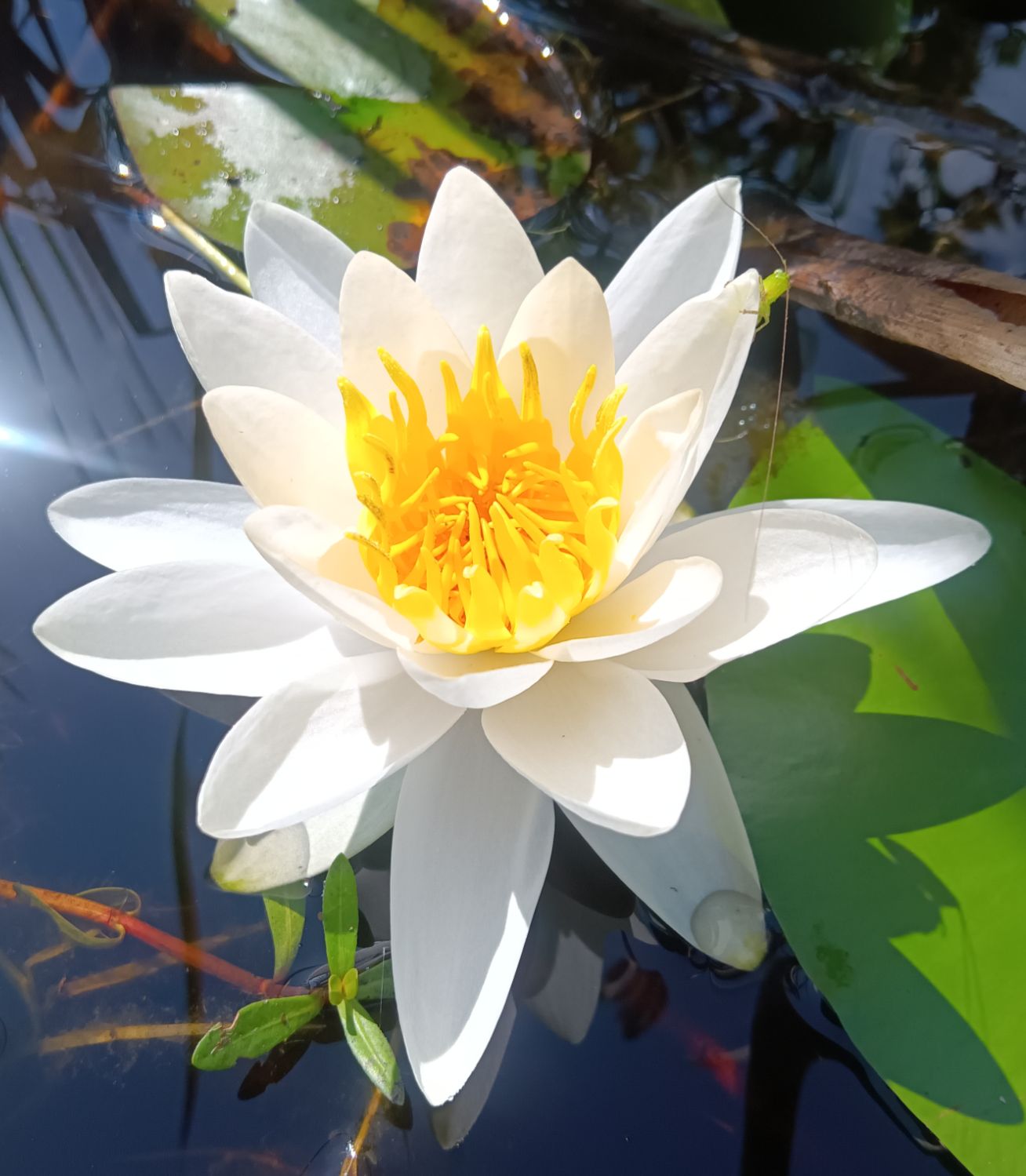 Community photo by Paul