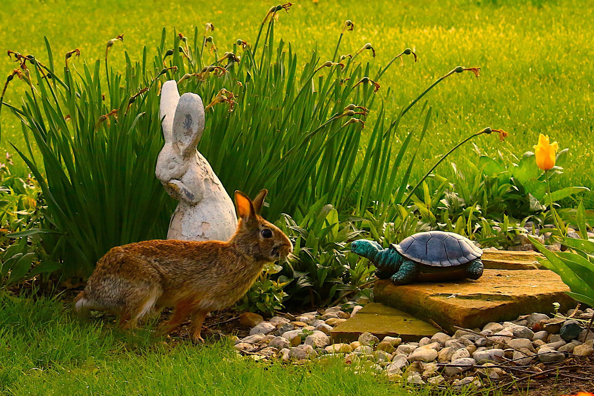 Community photo by Bill Kozar | Taylorsville, Indiana. USA