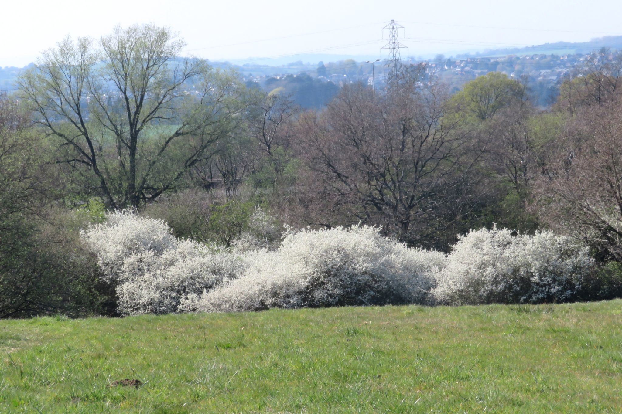 Community photo by Judith Gaffney | Birmingham UK